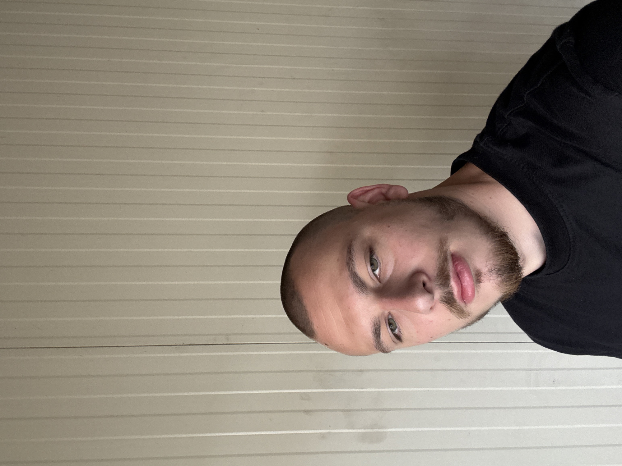 The image displays a head-and-shoulders portrait of a young man, originally captured with a 90-degree clockwise rotation. When viewed correctly, the man is positioned on the right side of the frame, looking directly towards the camera. He has a very short, light brown buzz cut or shaved head, complemented by a short, well-maintained beard and mustache. His eyes are light in color, likely green or hazel, and he maintains a neutral to slightly contemplative expression with his lips subtly parted. He is wearing a plain black crew-neck t-shirt.
The background is a light, neutral-colored wall featuring distinct horizontal panels or lines, possibly indicating a garage door or interior wall siding. The lighting is soft and even, suggesting the photo was taken during the daytime in an indoor or covered outdoor setting. There are no specific visual cues within the image itself to identify the location as Stara Zagora, Bulgaria, other than the provided context. No text is visible in the image.