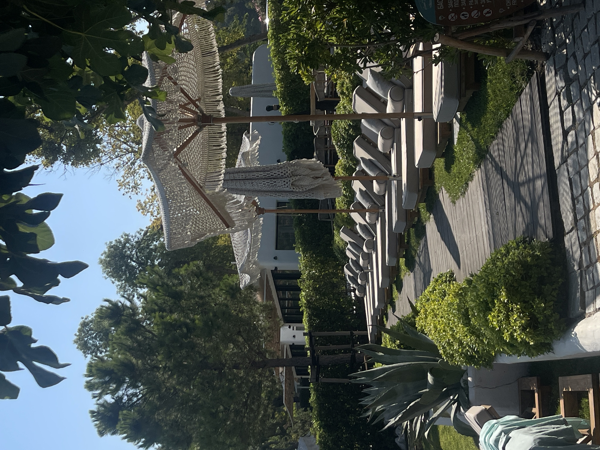 The image depicts an outdoor scene in Chernomorets, Bulgaria, featuring a row of empty lounge chairs and umbrellas arranged on a wooden pathway. The pathway is flanked by lush green hedges and a large agave plant on the left. In the background, a white building with a modern architectural design is visible, partially obscured by trees. The sky is clear and blue, indicating a sunny day. The overall impression is one of a tranquil and well-maintained resort or leisure area.