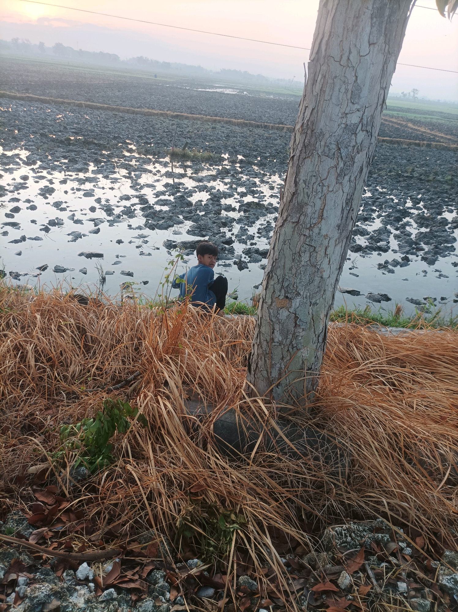 In Canga'an, Indonesia, a young boy wearing a blue shirt and black pants is sitting by the edge of a muddy field. The field, likely a rice paddy, is partially flooded, with dark soil clumps breaking through the water's surface. Tall, dry grass borders the field in the foreground, with a thick, rough-barked tree trunk dominating the right side of the frame. The sky is overcast with a pale yellow and pink hue, indicating either dawn or dusk. The overall scene depicts a rural agricultural landscape.