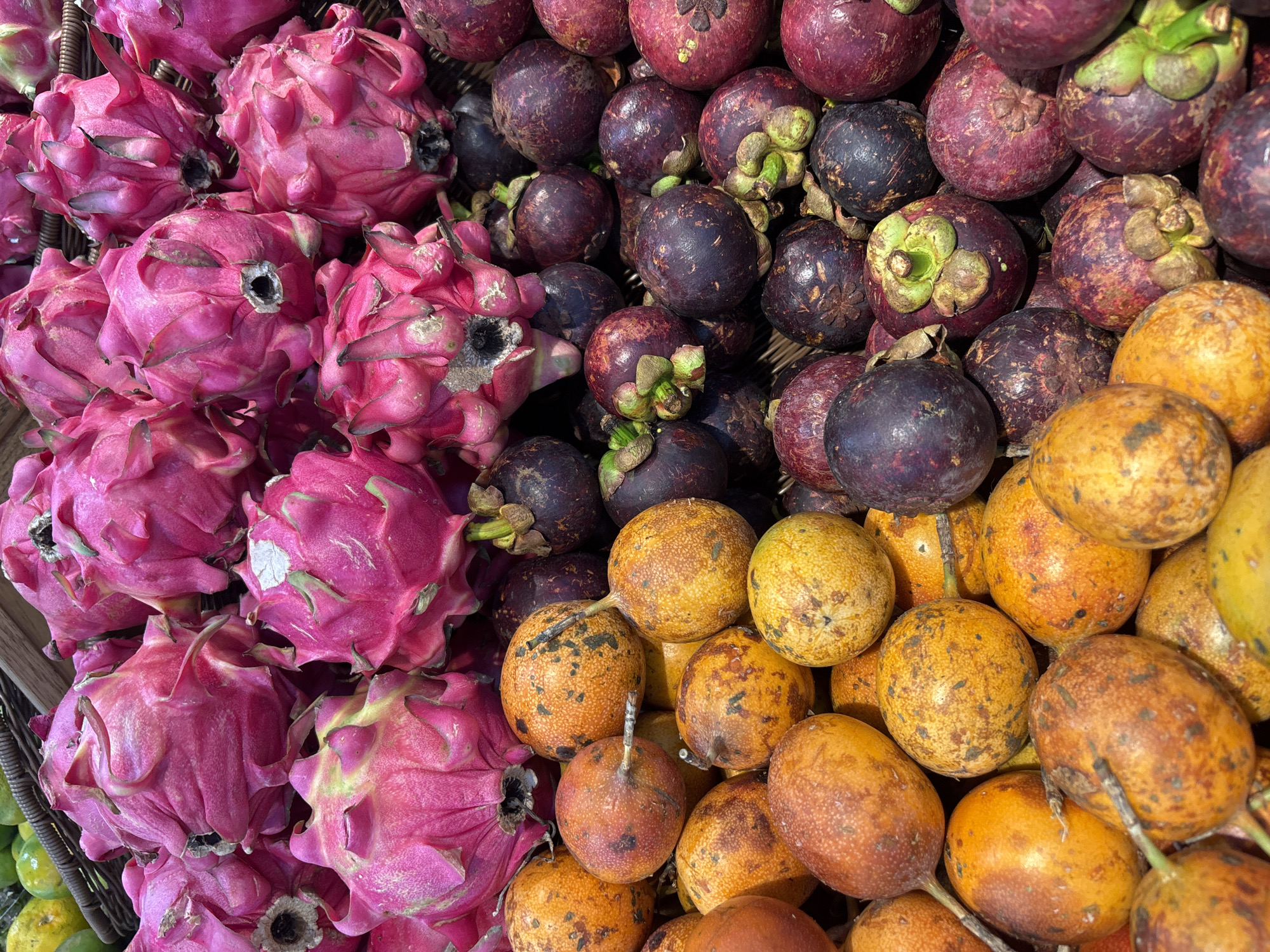 The image is a close-up, top-down view of a vibrant display of fruits in a market setting. In the upper portion of the frame, a large pile of bright pink dragon fruits is visible. Their spiky, scale-like exteriors are a striking fuchsia color with some green and yellow highlights. Below the dragon fruits, a dense collection of passion fruits is arranged. These fruits are predominantly round to oval, with thin, wrinkled skin in shades of orange, yellow, and brown, mottled with darker spots. Interspersed with the passion fruits, and filling the lower portion of the image, are dark purple mangosteens. These small, round fruits have a characteristic crown of green sepals at one end. The fruits appear fresh and are packed closely together, suggesting a market stall or grocery store display in Kuta Selatan, Indonesia. The lighting is bright, highlighting the rich colors and textures of the produce. No people are visible in the image.