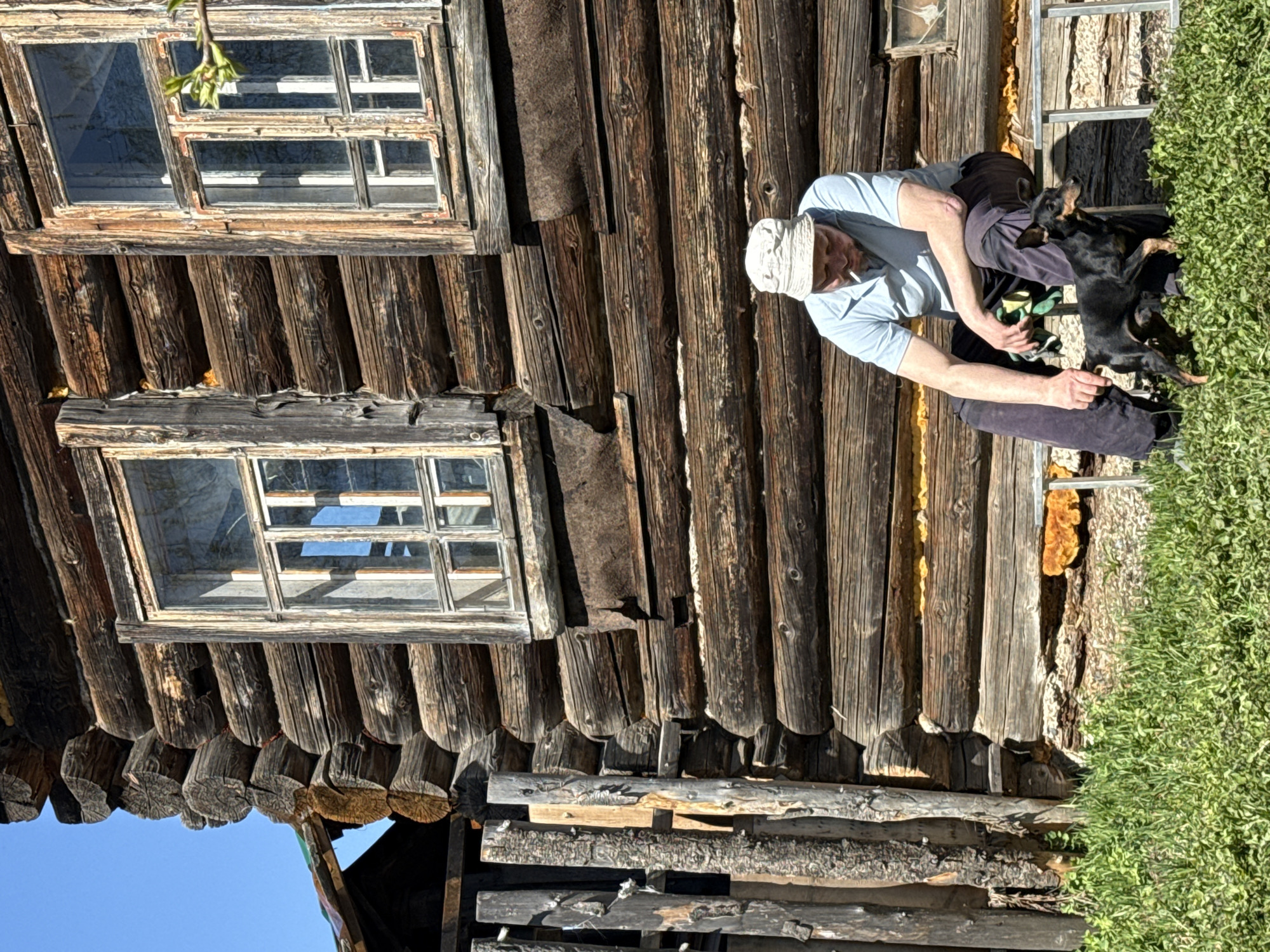 The image shows a man standing next to a rustic wooden structure, possibly a house or cabin. He is wearing a light blue shirt, dark trousers, and a light-colored cap, and appears to be interacting with a small black dog. A ladder leans against the wooden structure, near an area of lush green vegetation. The structure itself has two windows with multiple panes, and the logs show signs of weathering. The location may be in the city of Nizhnyaya Chermoda, Russia.