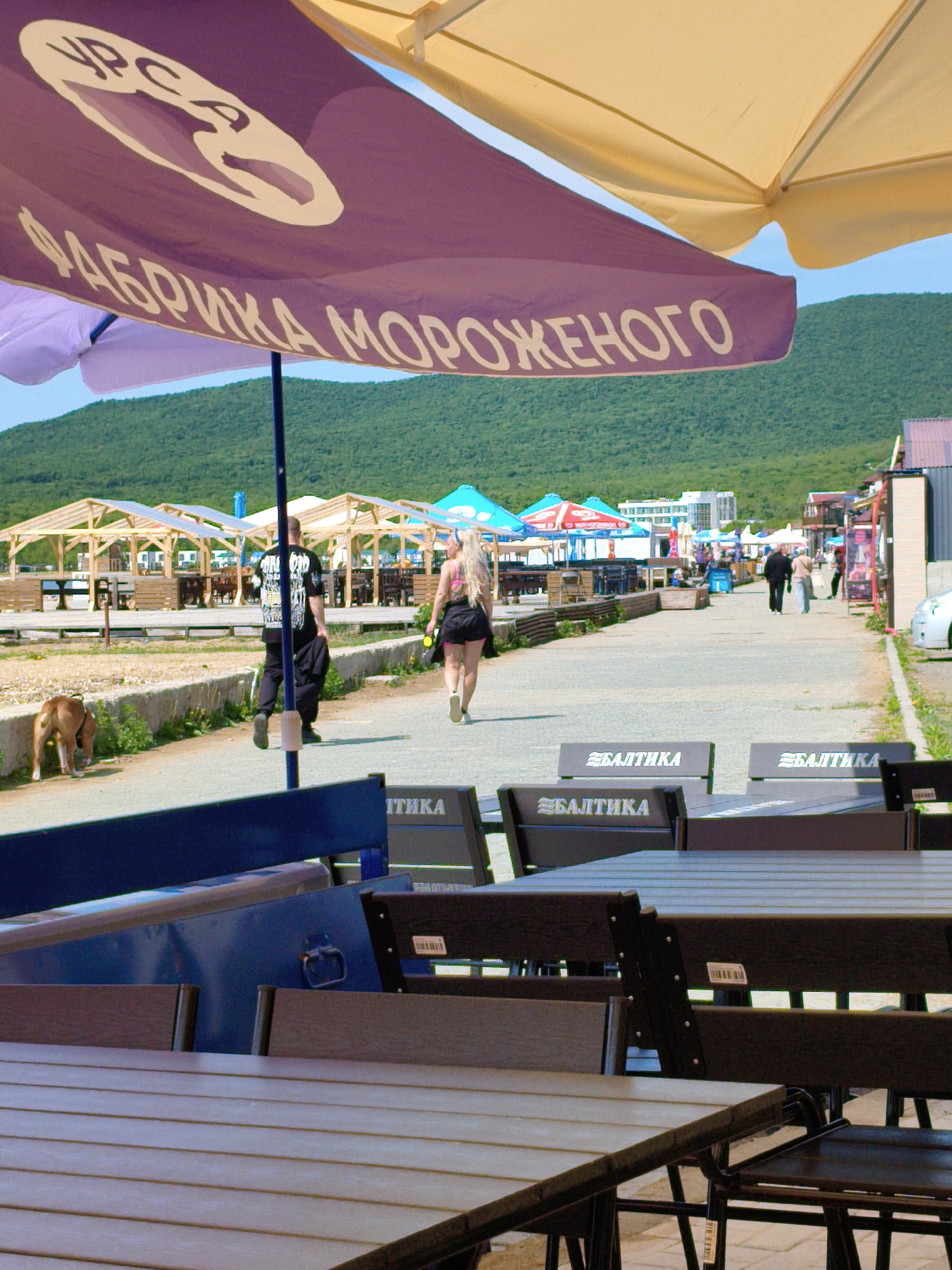 A full outdoor shot shows the exterior of a restaurant with a partially visible purple and white sign reading "ФАБРИКА МОРОЖЕНОГО" and "УРСА" above tables and chairs. A tan-colored parasol is visible above the purple one. The tables and chairs are wooden, and the chairs have "БАЛТИКА" printed on the back.
In the background, a road leads towards a mountain covered with green trees. There are structures visible on both sides of the road, including covered seating areas.
Several people are walking on the road. A man in a black shirt and pants is walking a brown dog. A woman with long blonde hair is walking in the same direction. Farther down the road, there are two other people walking. There are also a few buildings and vehicles in the distance.
The sky is bright blue. The overall setting appears to be a recreational area in an outdoor environment.