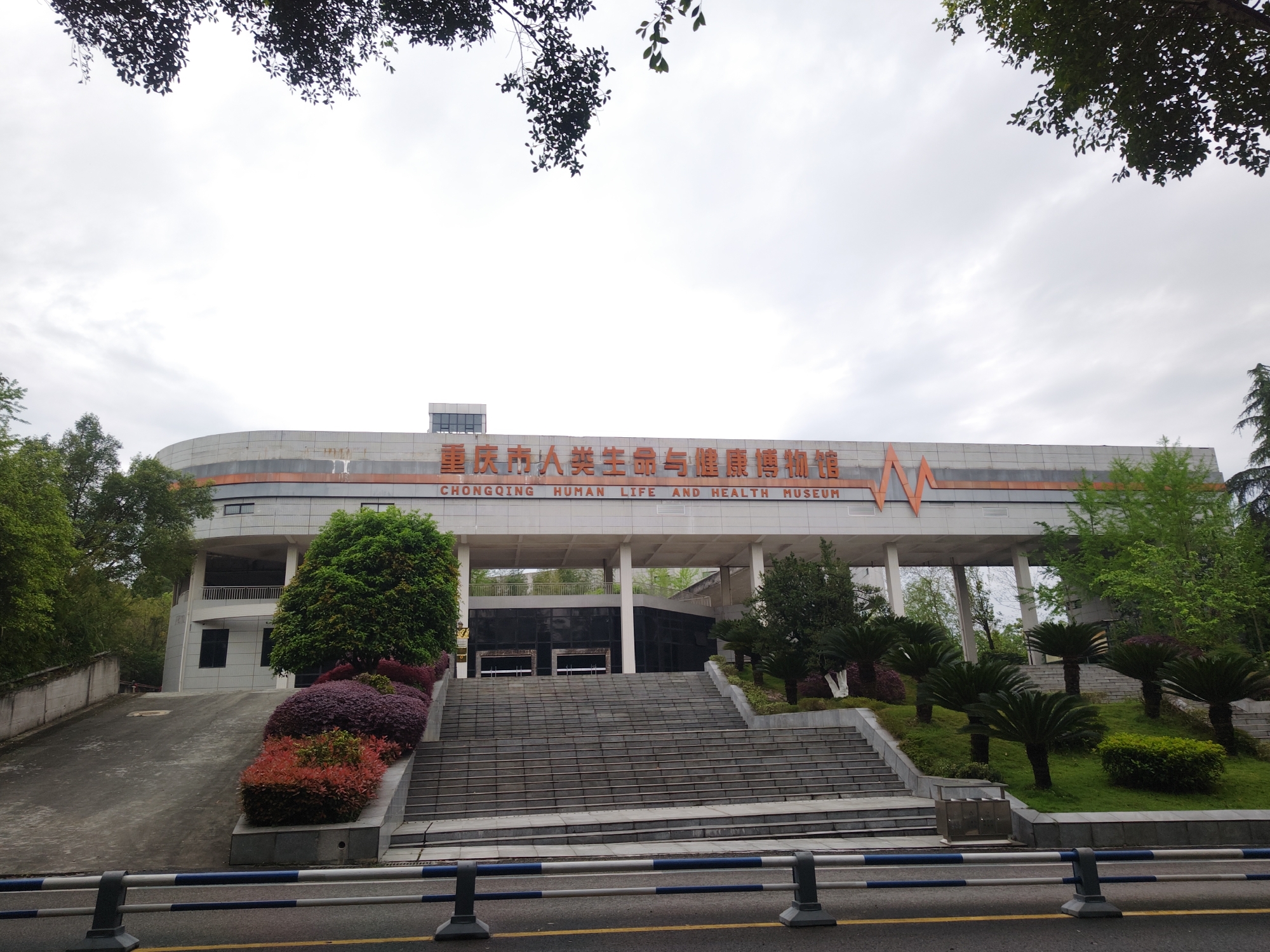 The image depicts the Chongqing Human Life and Health Museum located in the Chongqing High-tech Zone, China. The modern architectural building is made of grey stone and bears orange lettering for its name in both Chinese and English. An orange electrocardiogram-like graphic is also prominent on the facade. A wide set of concrete stairs leads up to the museum's entrance. The stairs are flanked by landscaped areas containing various bushes and small palm-like trees. The image is shot from a slightly low angle, possibly from street level. The foreground features a yellow-striped road and a striped guard rail. The sky is overcast, and trees frame the top portion of the image. No people are visible.