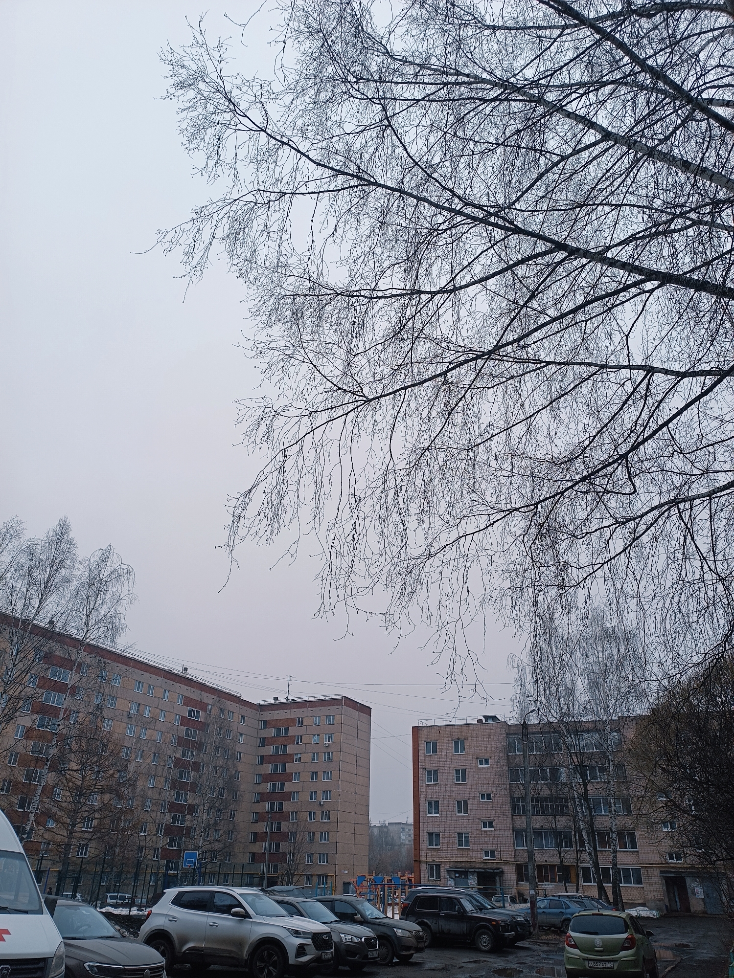 The image depicts a cloudy urban scene in Izhevsk, Russia, characterized by multi-story brick apartment buildings, bare trees, and parked vehicles. The sky is overcast, creating a muted color palette.
The apartment buildings are typical of Soviet-era architecture, featuring repetitive window patterns and utilitarian design. The bare trees, with their intricate branching patterns, dominate the upper portion of the frame and partially obscure the buildings.
Several cars and an ambulance are parked in a paved area. The ground appears wet, possibly from recent rain or snow. A playground is visible in the background between the buildings.
There are no visible people in the scene. The overall impression is one of a quiet, overcast day in a residential neighborhood.