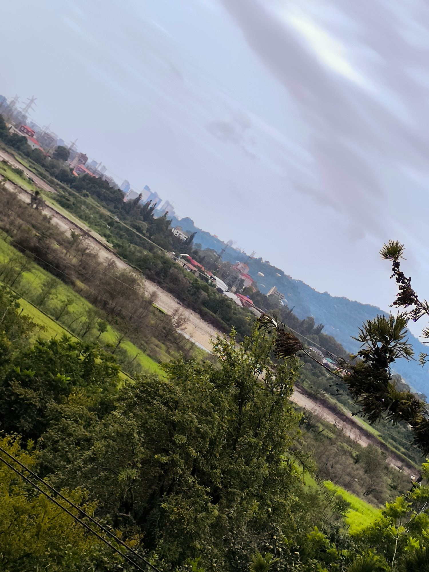 The image captures a view of a city, likely Batumi, Georgia, from a vantage point overlooking a valley. The landscape is characterized by a diagonal tilt, with lush green vegetation in the foreground, transitioning to a lighter green terrain, and then a brown, possibly muddy or dirt path, running diagonally across the mid-ground. Beyond this path, there are scattered buildings with red roofs and some taller structures, suggesting a residential area. In the distance, a more urbanized section of the city is visible, with taller buildings and what appear to be power lines or pylons. The sky is overcast with muted clouds. A few trees with spiky foliage are present in the foreground and mid-ground, with one notable branch extending from the right side of the frame. The overall impression is of a semi-urban environment where nature and development coexist, viewed under a cloudy sky.