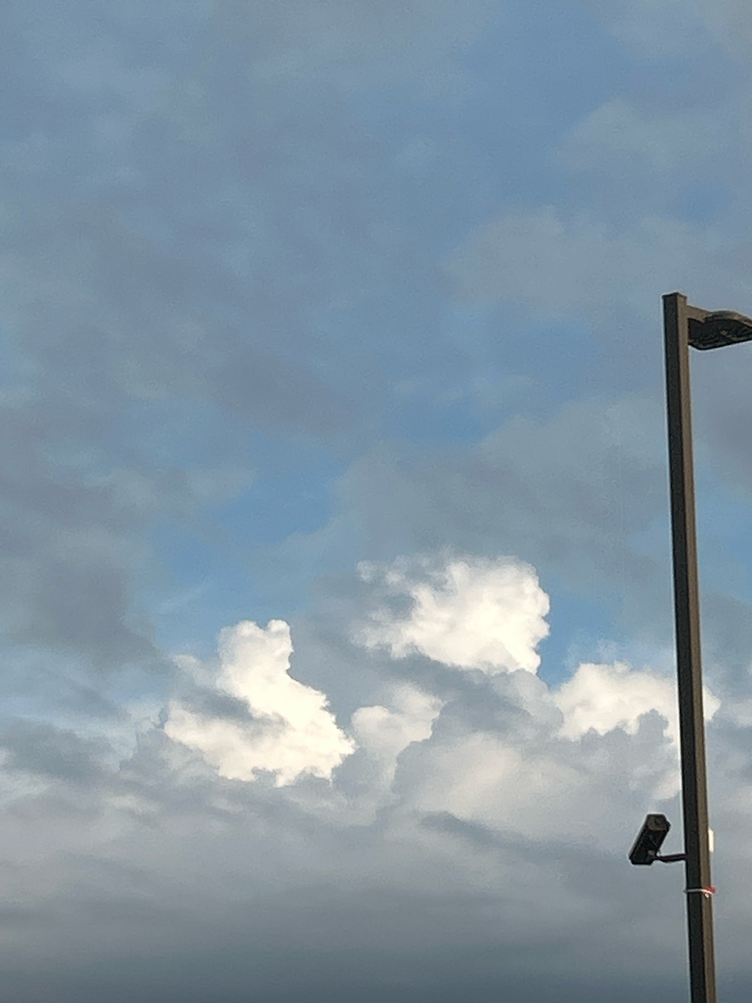 A tall, dark lamppost stands on the right side of the frame, extending from the bottom edge upwards. Attached to the lamppost, near its base, is a black security camera mounted on a bracket. The background is dominated by a cloudy sky. In the lower left quadrant of the image, a cumulus cloud formation is visible, with a portion of it resembling a profile view of a face or a distinct head shape. The sky transitions from a lighter blue in the upper portion to darker, more ominous clouds towards the bottom.