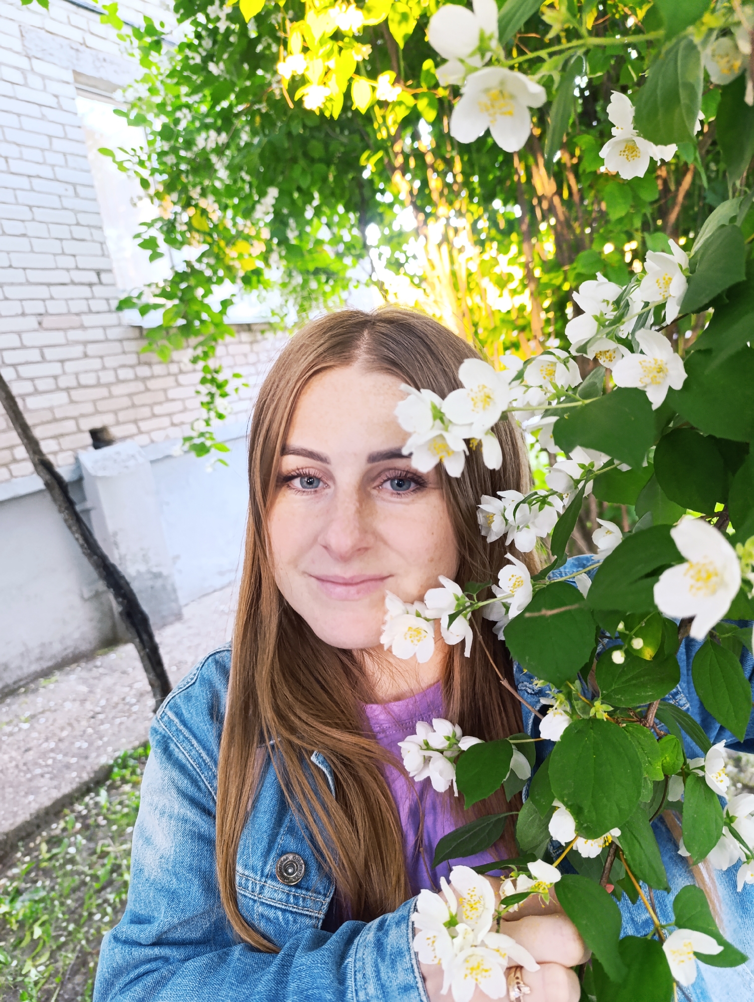 This is a medium shot, taken outdoors in Chernogolovka, Russia, featuring a young woman with long, brown hair. She is positioned slightly off-center, looking towards the viewer with a gentle smile. Her eyes are blue, and her face is adorned with freckles. She is wearing a denim jacket over a purple shirt.
The woman is partially obscured by a blooming jasmine bush, laden with clusters of delicate white flowers and lush green leaves. The jasmine is in the foreground and extends across the right side of the frame, creating a natural frame around the woman.
In the background, a brick building is visible on the left, with a window and some pipes. The setting appears to be a garden or yard, with a paved walkway and some greenery on the ground. The lighting suggests it is daytime, with sunlight filtering through the leaves of a tree in the upper portion of the image, creating a warm and soft illumination. The overall mood is serene and natural. No visible text is present in the image.