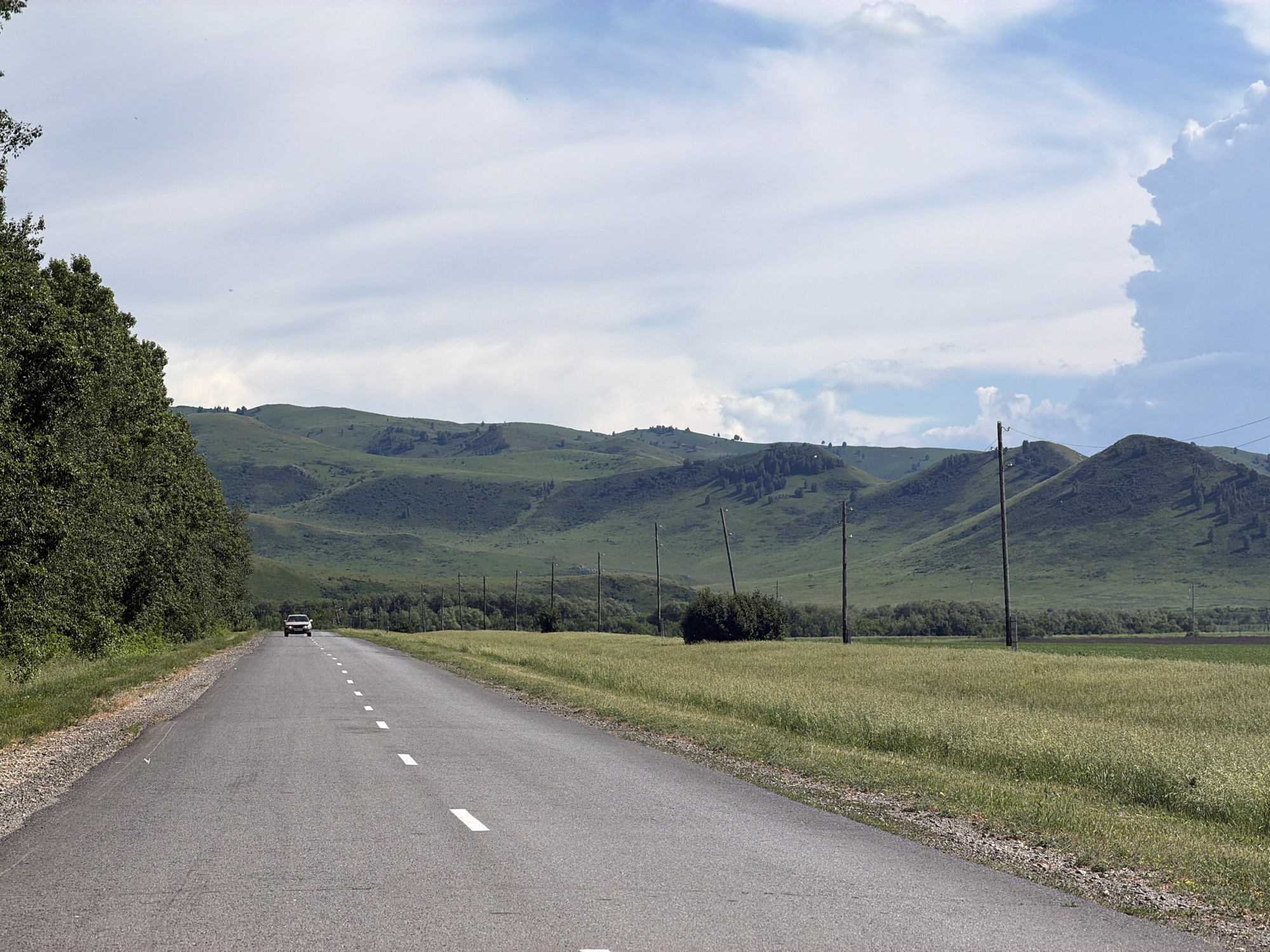 A paved road with white dashed lines runs through a rural landscape. On the left side of the road is a dense line of green trees. On the right side of the road is a field of tall, light green grass. In the distance, rolling green hills with scattered trees are visible under a blue sky with white clouds. A single white car is driving away from the camera on the road. Several utility poles are spaced along the side of the road, with wires strung between them. The scene appears to be a daytime landscape shot in Алексеевка, Russia.