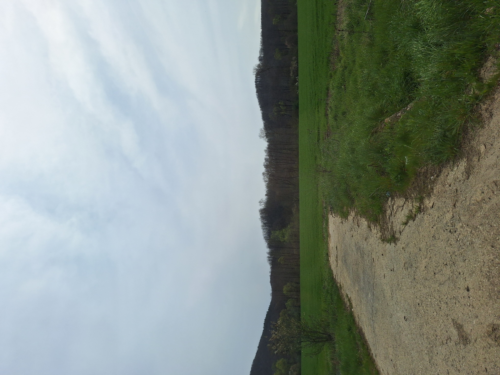 The image depicts a landscape in Gorna Rositsa, Bulgaria. On the left, the sky is visible with scattered clouds. A tree-covered hill or mountain ridge runs along the right side, meeting a green field. A dirt or gravel path runs along the right edge of the image.
