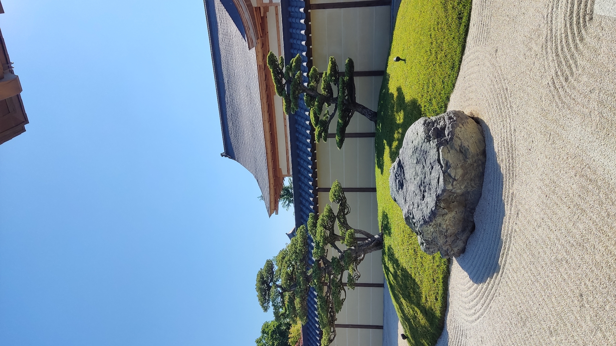 The image depicts a meticulously maintained Japanese garden on a clear, sunny day. A large, grey, irregularly shaped boulder rests in the foreground on a bed of finely raked, light-colored sand, forming concentric circular patterns. Behind the sand, a vibrant green, manicured lawn slopes upwards, hosting two bonsai trees. The larger bonsai, on the left, has a thick, gnarled trunk and branches spreading widely, while the smaller one on the right is more slender with upswept branches. A dark shadow is cast by the larger bonsai across the lawn and the rock.
In the background, a traditional Japanese-style building is visible. It features a dark, tiled roof with prominent eaves, supported by light-colored wooden beams. The building is partially obscured by a decorative wall with a dark, tiled coping and light-colored panels below, accented by vertical brown wooden posts. A few small, dark landscape lights are discreetly placed on the lawn. The sky is a uniform, bright blue with no clouds. The overall scene conveys a sense of tranquility and order characteristic of Japanese garden design. The location is not specified in the image, therefore it cannot be determined if it is in Krasnodar, Russia.