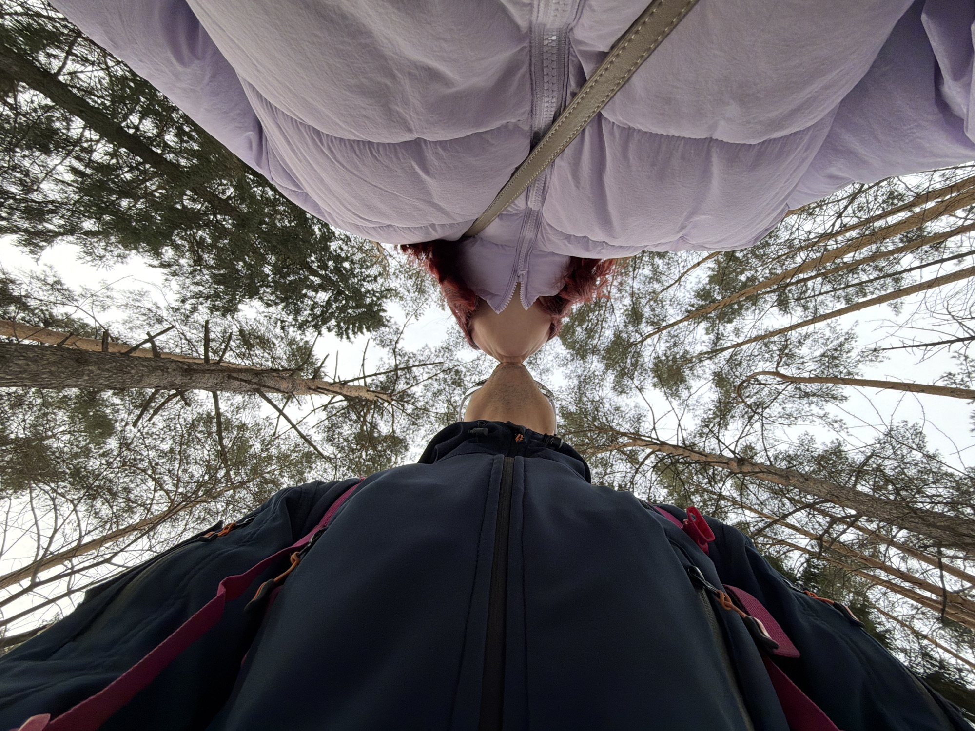 A low-angle, upward-facing image captures two individuals engaged in a kiss within a forested area of Chaikovsky, Russia. The individual on the left, viewed from the upper torso up, wears a dark blue jacket with magenta straps and appears to have short hair and glasses; their lips are puckered. The individual on the right, also seen from the upper torso up, wears a light lavender puffer jacket, has reddish-brown hair, and a light-colored strap across their body; their lips are similarly puckered. Both sets of lips meet at the center of the frame. The background is dominated by numerous tall, slender pine trees reaching upwards against an overcast, light grey sky.