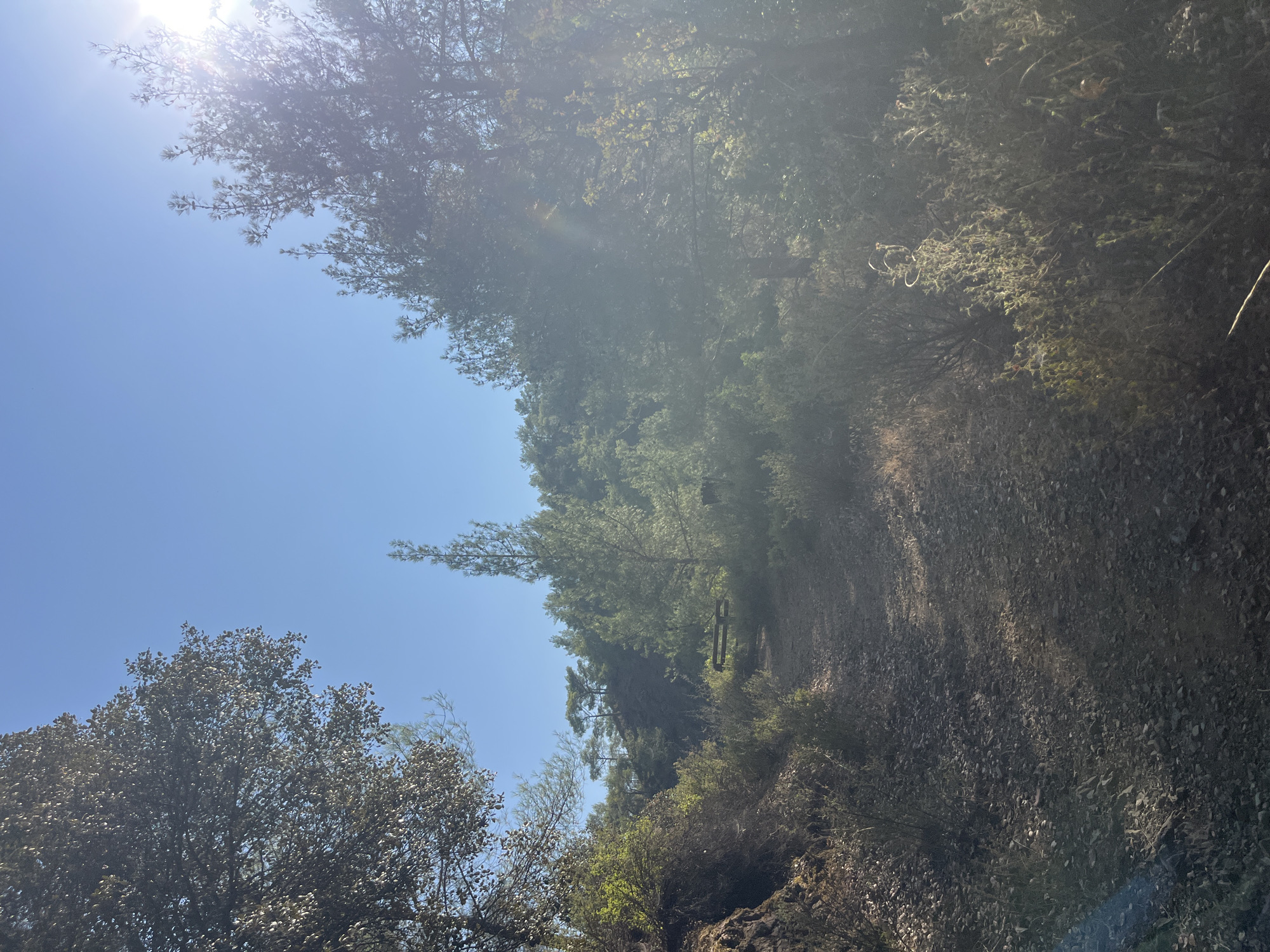 The image depicts a sun-drenched, dirt path winding through a wooded area in Pano Platres, Cyprus. The path is covered with small stones and fallen leaves. To the left, a rocky embankment is covered with dry brush and sparse green foliage. To the right, a dense arrangement of shrubs and small trees line the path, with sunlight filtering through their branches, creating bright highlights and lens flare. In the background, a gentle slope rises, densely populated with various types of trees, including pines. A wooden bench is visible on the left side of the path in the mid-ground, suggesting a resting spot for hikers. The sky above is a clear, bright blue. The scene appears to be a natural landscape, likely part of a hiking trail or a rural area within Pano Platres.