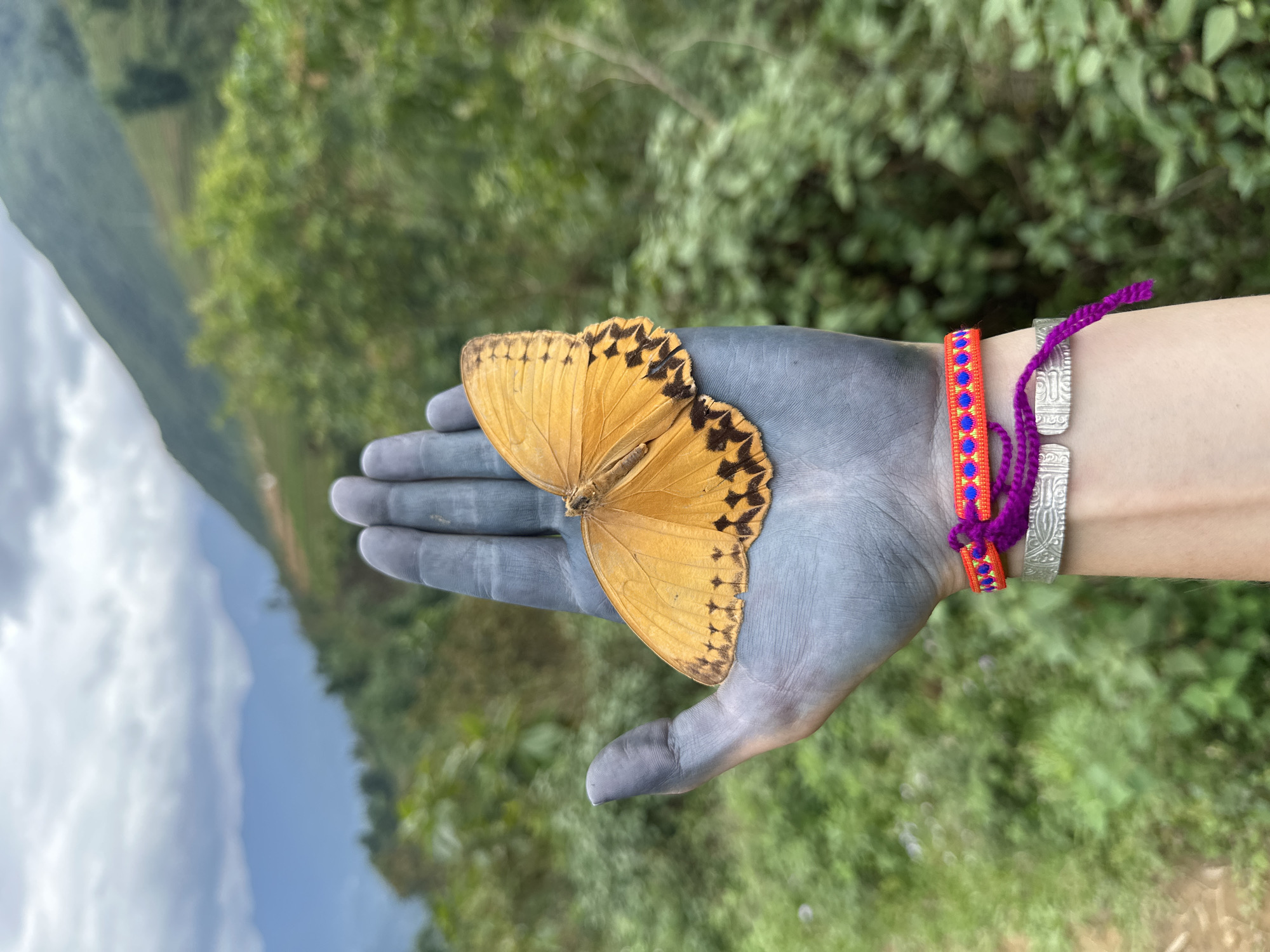 A close-up shot depicts a gray-painted hand holding an orange butterfly with black markings, presumably taken outdoors in Ban Ho, Vietnam. The backdrop features lush green trees and blurred distant mountains. The wrist is adorned with two bracelets - one colorful woven band and another made of etched silver.
