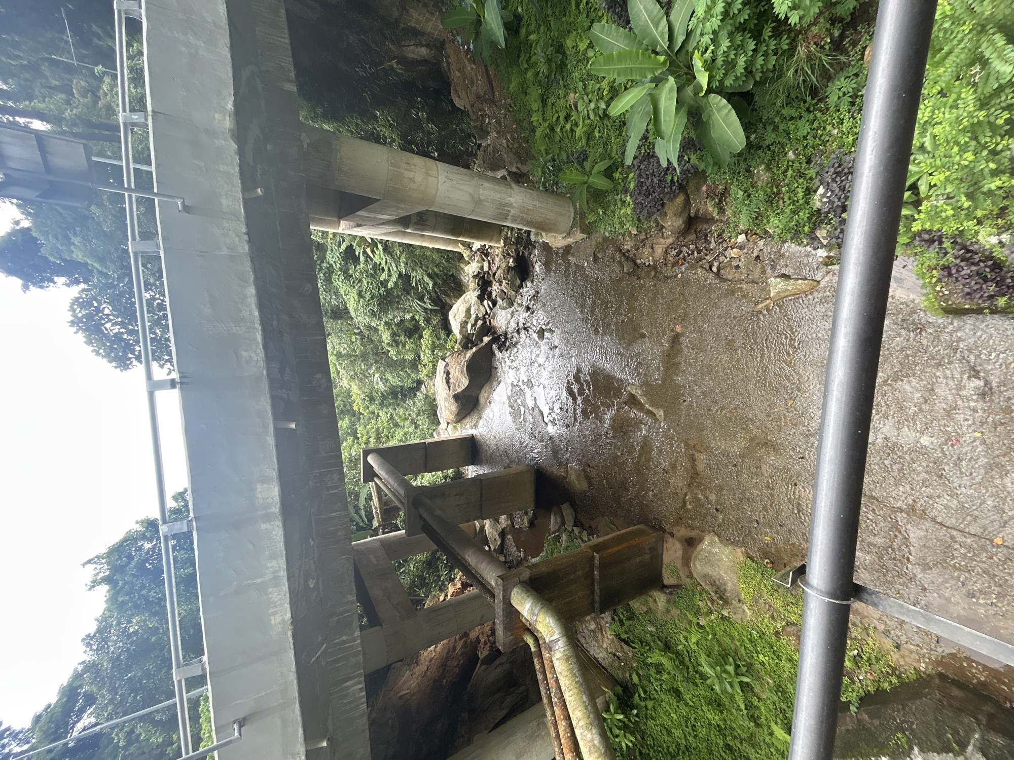 This image shows a concrete bridge spanning a rocky stream. The bridge is supported by multiple concrete pillars. There are several large pipes running beneath the bridge, connected to some of the support structures. The stream bed is rocky and wet, with some vegetation growing along its banks. The surrounding environment is lush and green, with trees and plants visible on the slopes. The scene appears to be located in a natural, possibly forested, area within or near George Town, Malaysia, likely a section of the Penang Hill roadway or a tributary leading from it.