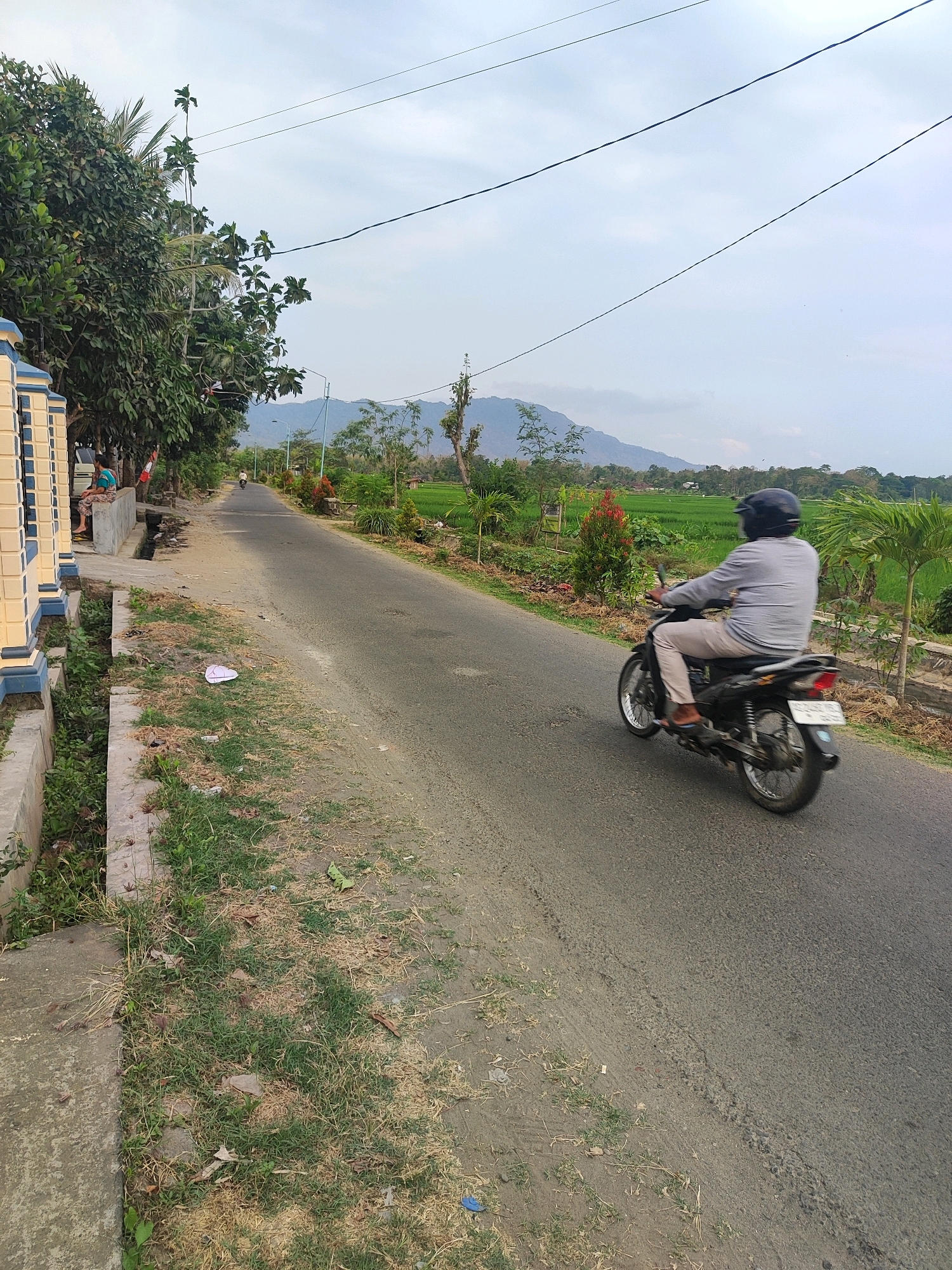 The image depicts a street scene in Rejowinangun, Indonesia, with a man riding a motorcycle on a paved road. The road is flanked by grassy areas and a drainage ditch on the left, and a vibrant green rice field on the right. Lush trees and vegetation line the roadside, with a distant view of mountains under a cloudy sky. A person is seated on a low wall near a building on the left side of the road. The motorcycle rider is wearing a grey long-sleeved shirt, light-colored pants, and a black helmet. The motorcycle is black and appears to be in motion. A pink wrapper is visible on the grassy area near the drainage ditch. Power lines are strung across the sky.