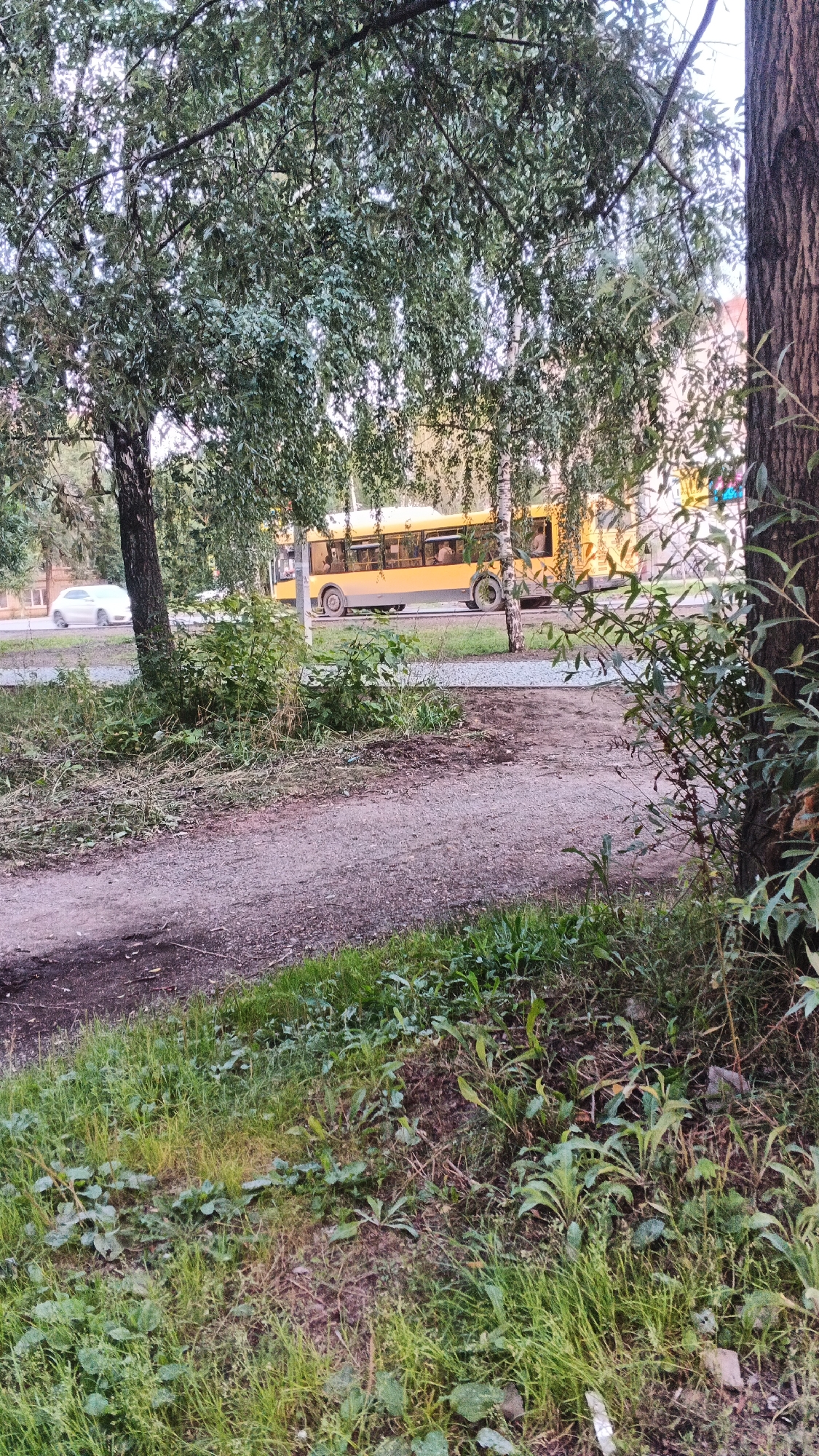 An exterior, eye-level, medium shot captures a street scene in Izhevsk, Russia, dominated by lush green foliage and a yellow bus. The foreground is occupied by a dirt path and overgrown grass, hinting at a natural or semi-natural setting encroaching on the urban environment. A large tree trunk, textured and brown, stands on the right side, its branches reaching into the frame and partially obscuring the view.
In the mid-ground, a yellow bus with multiple windows is visible moving along a paved road. Passengers can be seen inside the bus. To the left of the bus, a white car is also driving on the road. Buildings, appearing residential, are discernible in the background, suggesting an urban context. The overall lighting suggests it is daytime, with a bright sky, possibly indicating late afternoon or early morning. The presence of trees, the dirt path, and the grass imply the scene is located in a park, a green residential area, or a street lined with trees.