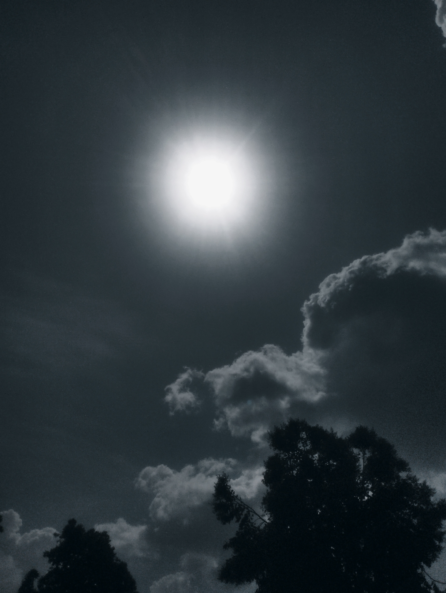 The image is a high-angle shot of a bright sun in a dark, cloudy sky. The sun is centered at the top of the frame, radiating light and creating a lens flare effect. Fluffy white clouds are scattered across the sky, some appearing dark and ominous due to the backlighting. In the foreground, the silhouetted tops of trees are visible, indicating an outdoor scene. The image has a monochromatic, grainy quality, suggesting it might be a black and white photograph or a heavily filtered color image. The scene evokes a sense of dramatic weather, possibly before or after a storm.