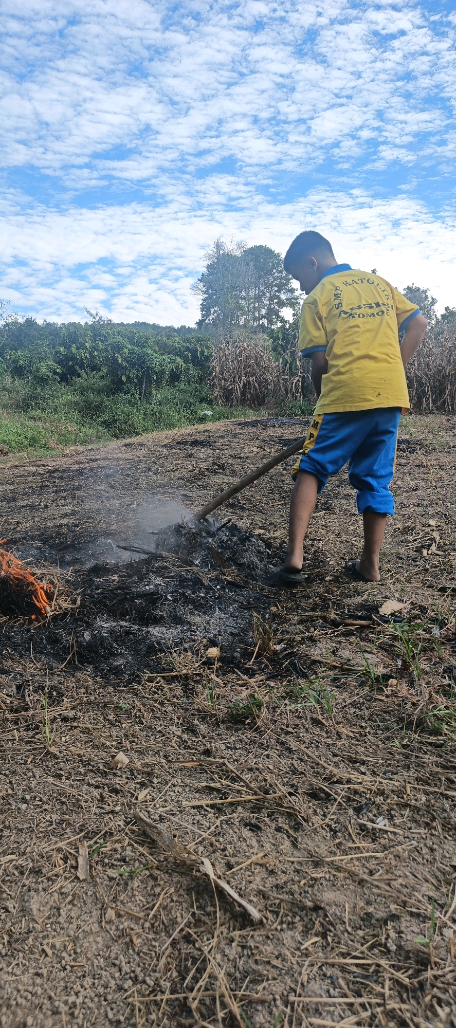 In Cinta Dame, Indonesia, a boy wearing a yellow shirt with blue trim and blue shorts is standing on dry, unkempt ground with some patches of grass and sparse vegetation. He is using a long-handled tool to tend to a smoldering pile of debris and ashes, with a small fire burning on the left side of the pile. Smoke rises from the smoldering material. In the background, there is a line of lush green trees and foliage, and beyond that, a dry cornfield. The sky above is a bright blue, dotted with fluffy white clouds.