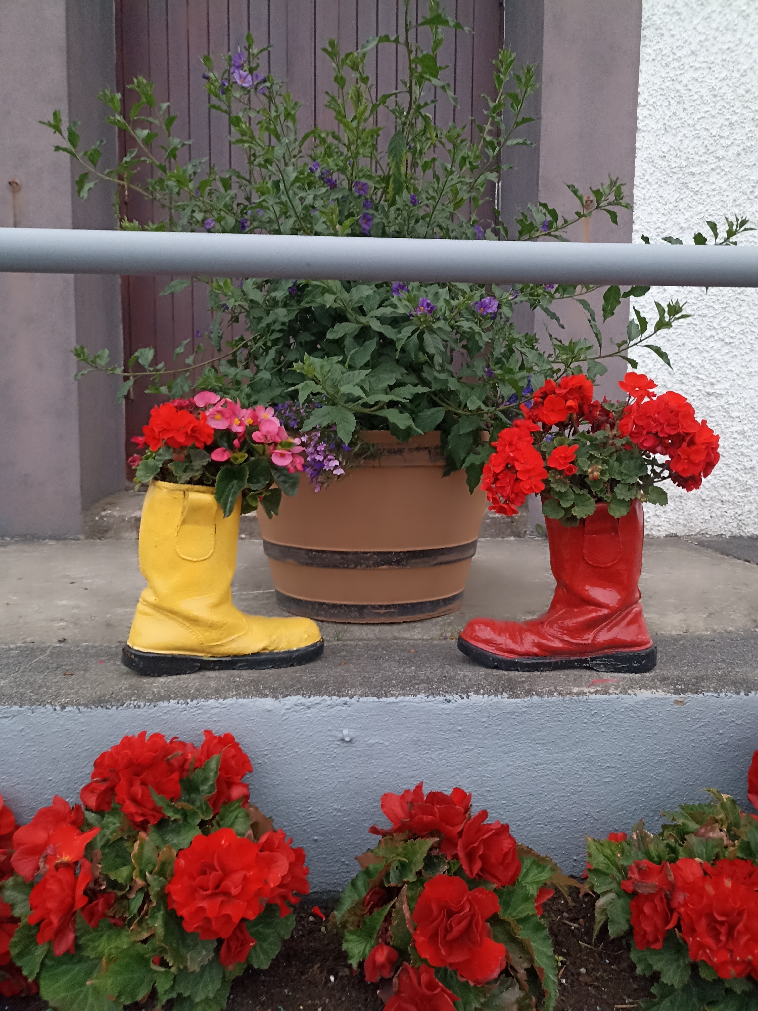 This is a photograph of an outdoor decorative display featuring flowers planted in boots. On the left, a yellow Wellington boot is filled with red and pink flowers. To the right, a red Wellington boot contains red flowers. Behind the boots, a large brown planter holds a green leafy plant with small purple flowers. The boots and planter are situated on a grey concrete step. In the foreground, a bed of red begonias with green leaves is visible. The background consists of a wooden door and a textured white wall. The scene is located on a step outside a building.