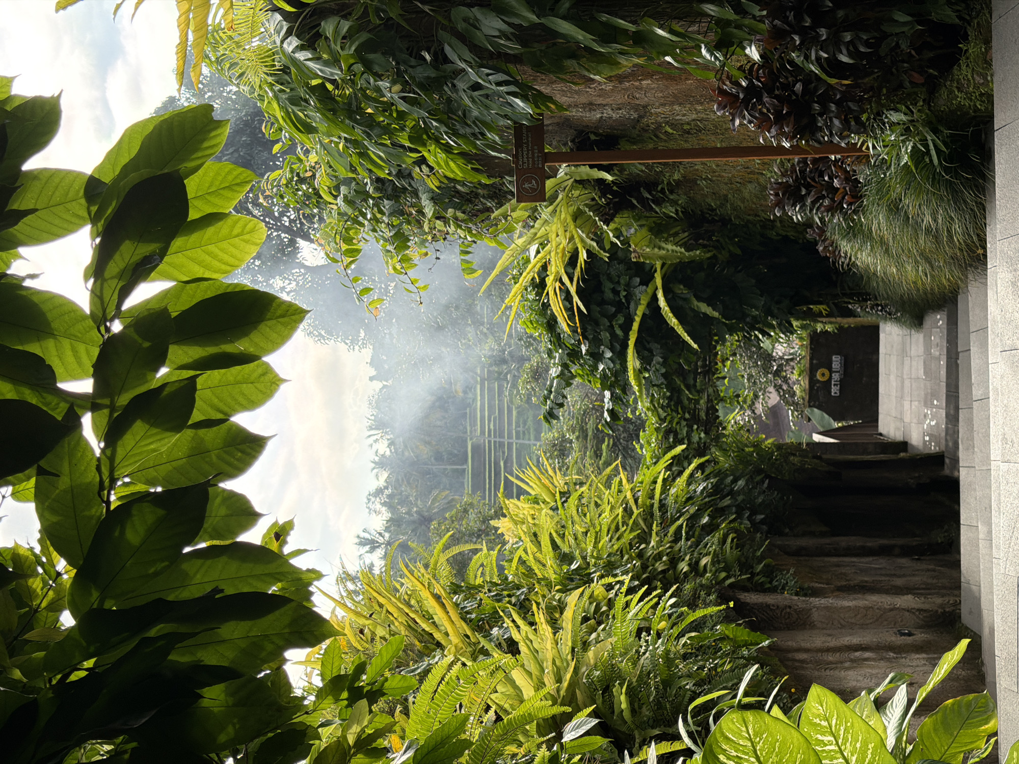 The image depicts a pathway leading downward in Tegal Suci, Indonesia. The pathway is lined with lush greenery, including ferns and various plants. A sign is visible on a wooden post along the path. In the distance, mist or smoke obscures the view, partially hiding a structure with metal railings. The pathway appears to be constructed of stone or concrete steps. The image is oriented vertically.