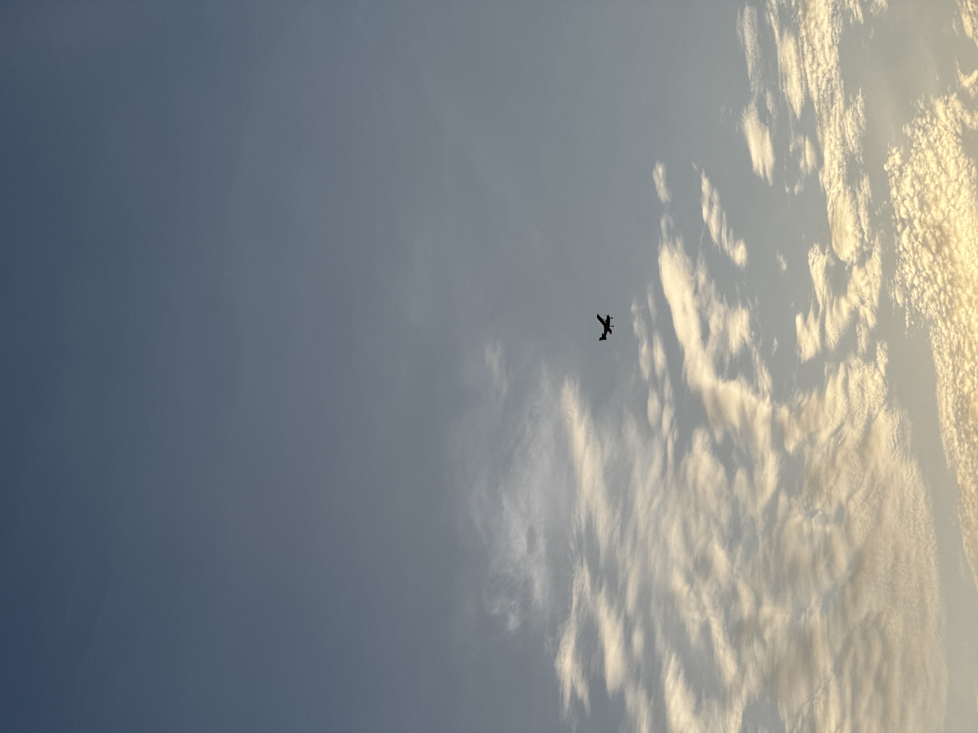 The image shows a clear blue sky with scattered clouds. A small silhouette of an airplane is visible in the upper left quadrant of the image, flying from left to right. The clouds are white and fluffy, with some appearing wispy and others more dense. The lighting suggests it may be late afternoon or early evening. There are no people or structures visible in the image. The image does not depict the city of Karon, Thailand.