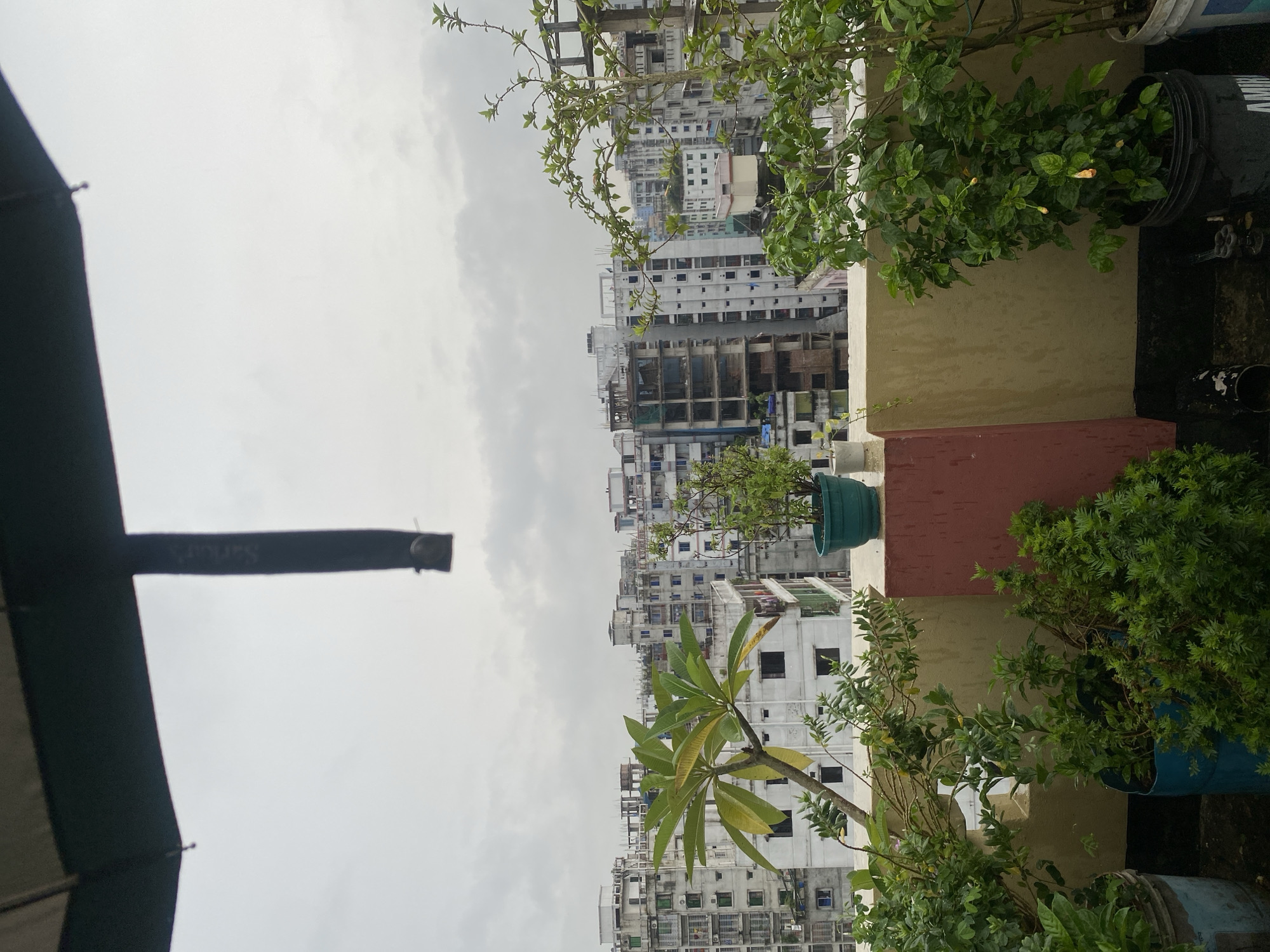 The image depicts a cloudy sky over a cityscape in Dhaka, Bangladesh, viewed from a rooftop. An open umbrella is partially visible in the upper portion of the frame, angled downwards. In the foreground, a low wall or railing separates the rooftop planting area from the view of the buildings. Several potted plants are arranged on the rooftop, including a frangipani tree with green and yellowing leaves in a teal pot, and a bushy green plant in a blue barrel. To the right, a flowering plant with green leaves and a few yellow blossoms is in a black bucket. The background consists of numerous multi-story buildings, some appearing to be under construction, with varying architectural styles common in urban Bangladesh. The overall atmosphere suggests overcast weather, possibly after or during rain, as evidenced by some wet surfaces and the cloudy sky.