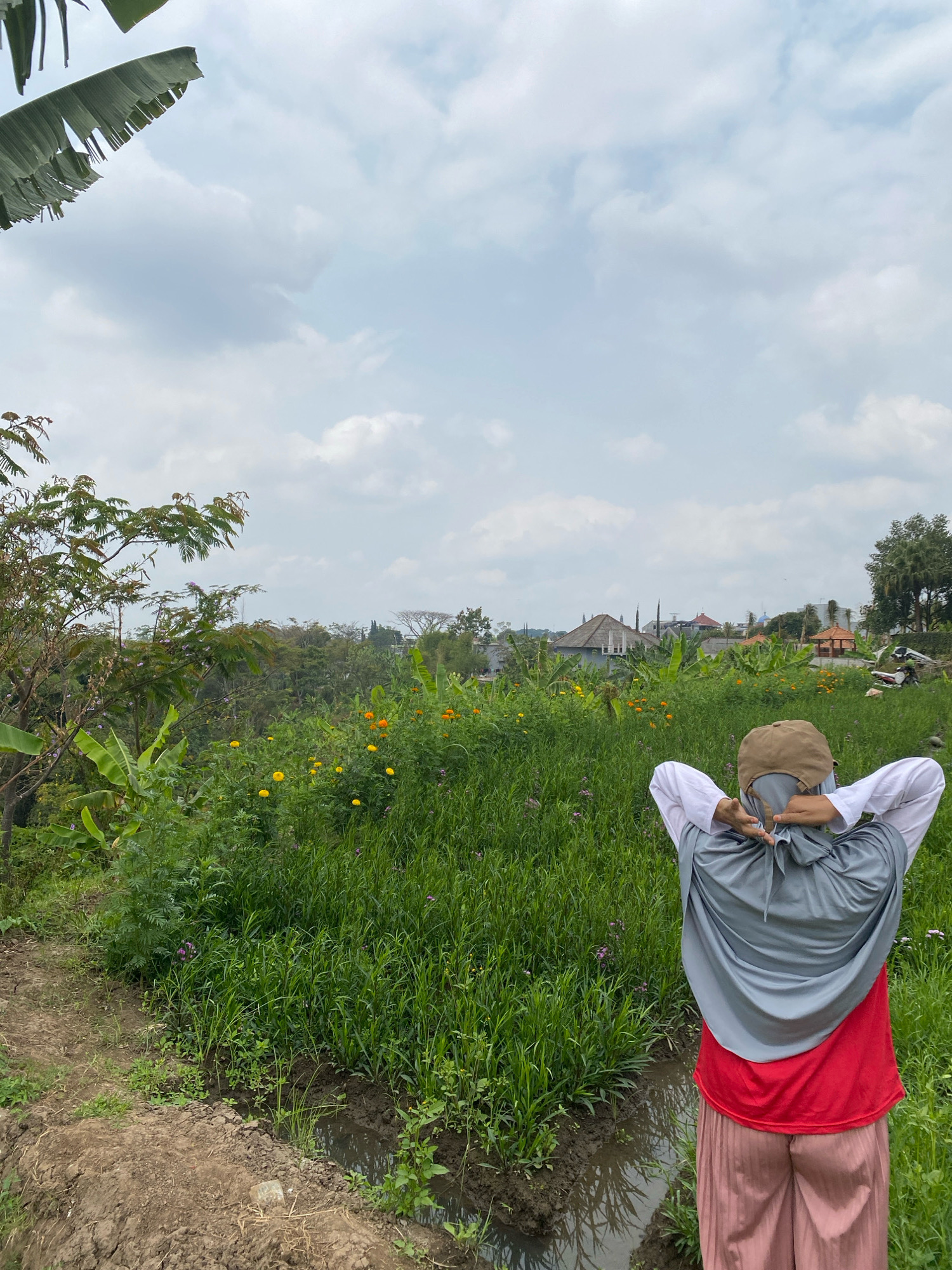The image depicts a person from behind, wearing a light brown cap, a gray hijab, a red t-shirt, and pink pants. They are standing with their arms behind their head, looking out at a lush green landscape under a cloudy sky. The foreground shows a dirt path and a small water channel, bordered by dense vegetation including banana trees, orange and yellow flowers, and tall green grasses. In the background, several buildings with red-tiled roofs and some trees are visible, suggesting a semi-rural or suburban setting. The overall scene is one of a person enjoying a natural vista.