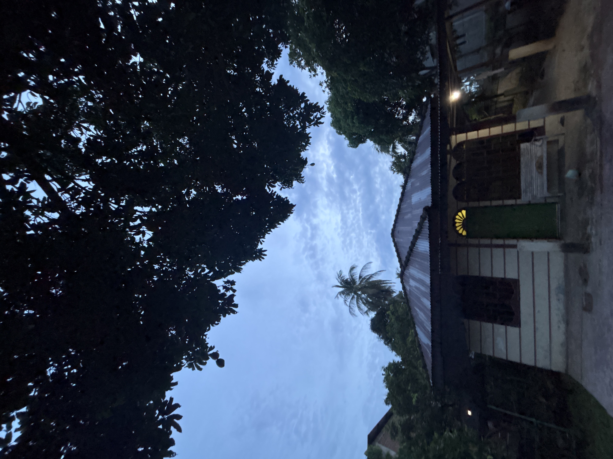 The image depicts an outdoor scene in Cutneuheun, Indonesia. The perspective is looking upwards, framed by dense foliage on the left side and a building on the right. The sky is partially visible through the trees, revealing a light blue hue with scattered clouds. A lone palm tree is discernible amidst the other foliage. The building appears to be a single-story structure with a corrugated metal roof, a green door, and a lit, circular window. The light emanating from the window suggests it is evening or night. No people are visible in the scene. The environment appears residential.