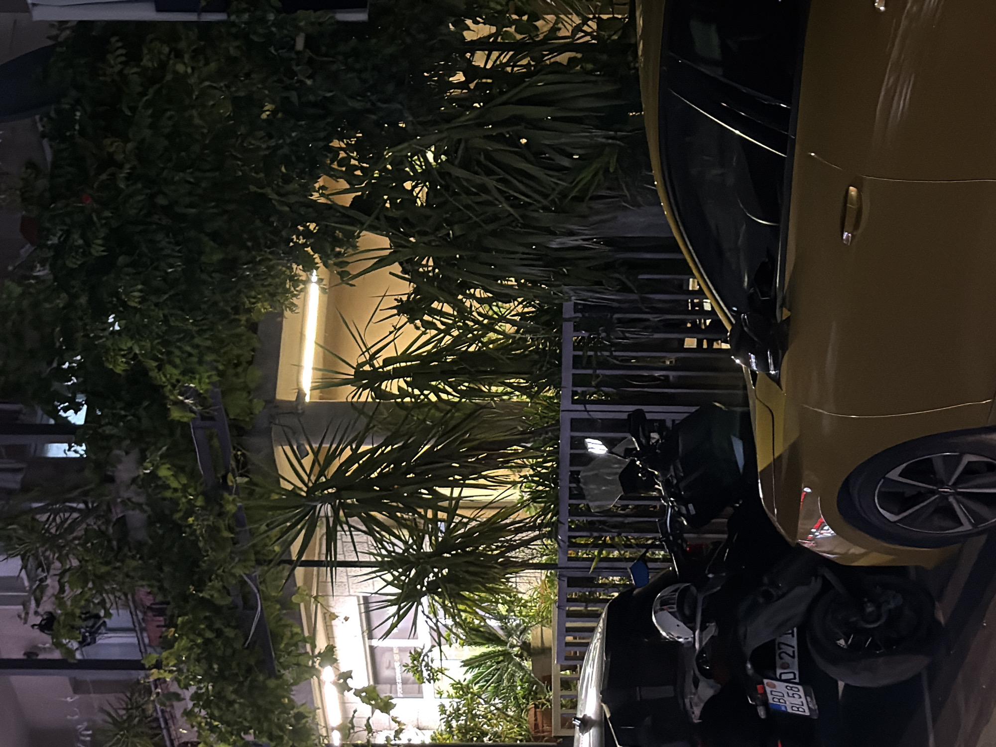 This image captures a nighttime outdoor scene, likely in Budva, Montenegro. In the foreground, a black scooter or motorcycle is parked, with its rear license plate clearly visible, displaying "BD BL58." Immediately to the scooter's right, a bright yellow car, possibly a hatchback, is parked, showcasing its side profile and a portion of its front wheel.
Behind these parked vehicles, a dense and lush array of green plants dominates the left and central parts of the frame. This includes leafy bushes, broad-leafed plants, and palm-like foliage with pointed fronds, some of which are illuminated from behind by artificial light sources, creating silhouettes and bright highlights. A dark metal fence or railing runs horizontally between the greenery and the vehicles. In the background, hints of buildings with illuminated windows can be seen through and above the foliage. The overall lighting is dim, characteristic of nighttime, with artificial lights providing contrast and definition to the scene. No people are visible, and there is no discernible activity taking place beyond the parked vehicles. The visible license plate text "BD BL58" strongly indicates the location as Budva, Montenegro.