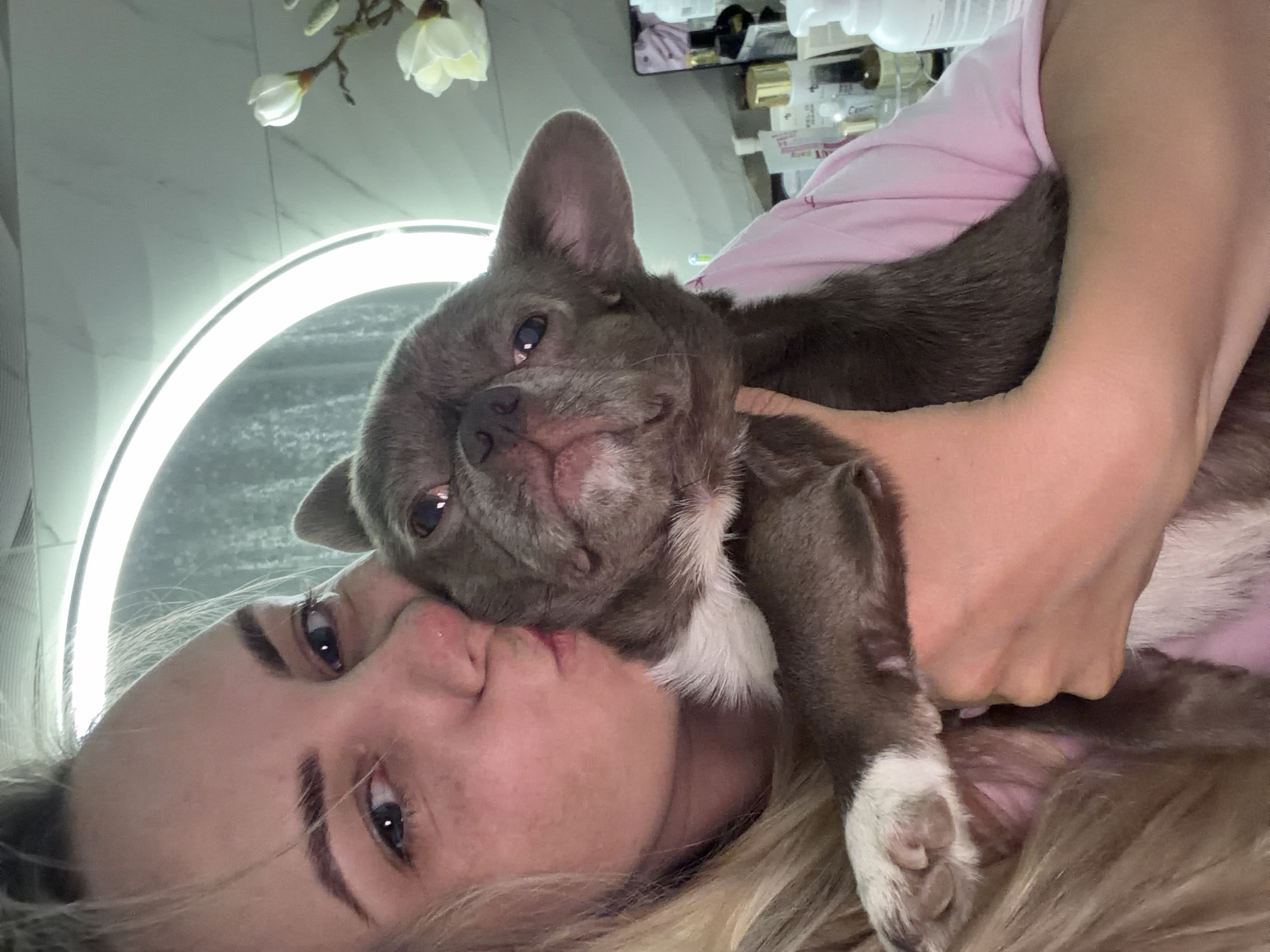 The image captures a tender, close-up moment between a woman and her grey French Bulldog, likely a puppy, in an indoor setting in Votkinsk, Russia. The woman, with visible blonde hair, is positioned closely to the dog, with her face next to its head, suggesting a loving embrace. Her eyes are open and directed towards the viewer, while her lips are slightly parted, touching the dog's cheek area. She is wearing a light pink top, and her arm is visible, supporting the dog.
The dog, a French Bulldog puppy, has soft grey fur with distinct white markings on its chest and front paws. Its head is turned towards the camera, with one ear perked up. Its eyes are open and reflect the ambient light, giving it a gentle and curious expression.
In the background, a large, glowing circular LED ring light provides bright illumination to the scene. Above and to the left of the light, delicate white artificial flowers, possibly magnolias, are visible against a light-colored wall, which appears to be tiled or textured. To the upper right, various bottles and reflective objects, resembling cosmetics or toiletries, are arranged on a surface, hinting at a vanity or bathroom area. The overall atmosphere conveys a strong bond and affection between the owner and her pet. The lighting is bright and even, indicating an indoor environment, likely a personal space.