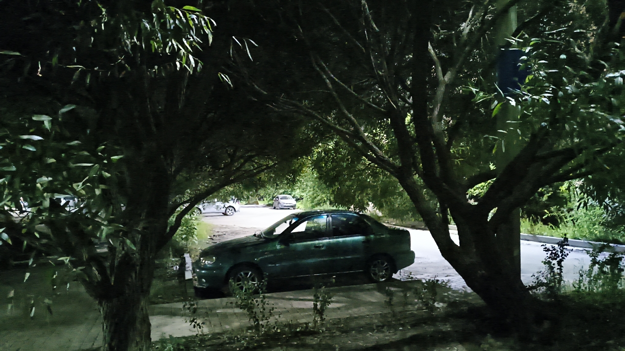 The image depicts a dark, tree-lined street scene at night, possibly in Mikhaylovka, Russia. A green sedan is parked on the right side of the road, partially obscured by trees. In the background, two other cars are visible, one silver and one white, parked further down the street. The area appears to be a residential or public space with trees forming a canopy over the road. The lighting is low, suggesting it is nighttime, with artificial lights illuminating parts of the scene. There are no people visible in the image. The overall impression is one of a quiet, somewhat overgrown urban environment at night.