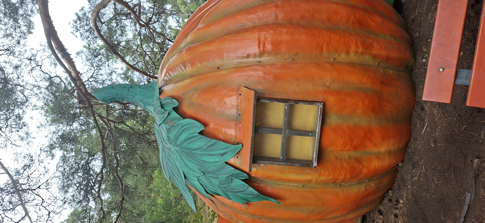 An exterior, eye-level, medium shot captures a whimsical, oversized pumpkin structure, likely a children's playhouse or decoration, situated outdoors in a wooded environment. The pumpkin is predominantly orange with green stripes, adorned with a large green leaf and stem. A small, dark-framed window with yellow panes is visible on its side, suggesting an interior space. The ground around the pumpkin is covered with dark soil, pine needles, and scattered pinecones. In the lower right corner of the frame, the edge of a red wooden bench with a metal frame is visible, implying a seating area nearby. The background consists of dense evergreen trees and branches, with a pale, overcast sky overhead. The overall scene evokes a rustic, natural setting, potentially part of a park or an amusement area in Naantali, Finland, a city known for its natural beauty and recreational spaces. No people or animals are present in the frame.
