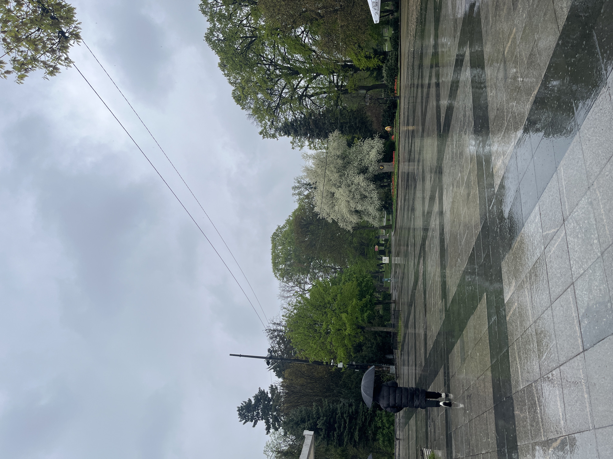 The image depicts an overcast and damp day in an outdoor public space in Sofia, Bulgaria. A single person, seen from behind, walks on a wet, patterned pavement towards the right side of the frame. They are holding an open black umbrella, indicating either ongoing rain or recent precipitation. The person wears a dark puffer jacket, dark pants, and light-colored shoes.
The ground is a geometric pattern of dark and lighter grey rectangular tiles, which are highly reflective due to the wet surface, mirroring the grey sky and surrounding trees. To the left and in the middle distance, a variety of trees with different shades of green foliage form a backdrop, suggesting a park or garden area. One tree with distinctive white blossoms stands out among the greenery. Further in the background, near the treeline, subtle golden-colored decorative elements or lights are visible, along with a low fence or railing.
Overhead, two distinct electrical wires stretch across the cloudy grey sky. A utility pole with attached equipment is also visible among the trees on the left. The scene conveys a quiet, subdued atmosphere, typical of a cloudy, wet day. No specific text is clearly legible within the image.
