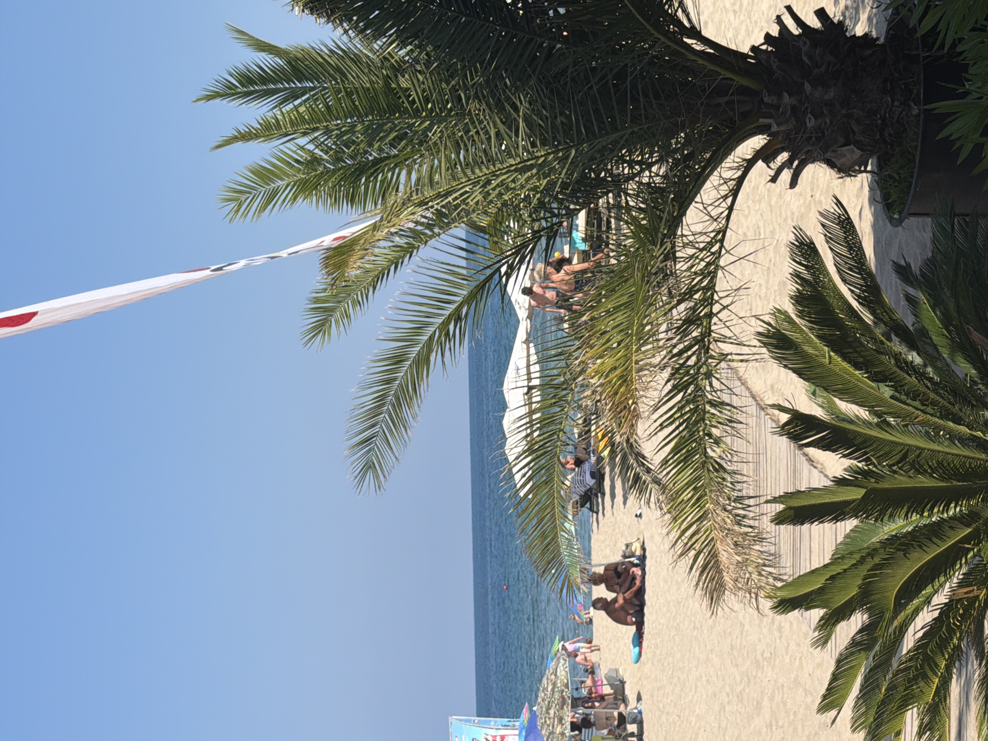 The image depicts a sunny day at a beach in Sinemorets, Bulgaria. In the foreground, a large palm tree dominates the right side of the frame, with its fronds partially obscuring the scene behind. To the left, another smaller palm or cycad provides greenery. The sandy beach is dotted with beach umbrellas providing shade for sunbathers. A wooden boardwalk runs horizontally across the mid-ground. Several people are visible on the beach, some sitting under umbrellas and others strolling near the water. The calm, blue sea stretches to the horizon under a clear blue sky. A tall, white banner with red markings is visible in the upper right portion of the image, angled against the sky. The overall atmosphere is relaxed and typical of a summer day at the coast.