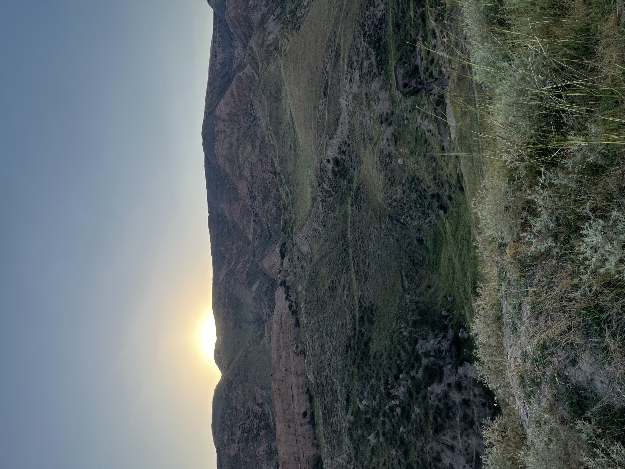 The image shows a vast, arid landscape with rolling hills and mountains under a clear, pale blue sky. The sun is partially visible, low on the horizon behind a ridge of hills, casting a warm glow on the scene. The terrain is predominantly covered in dry grass and sparse vegetation, with some areas showing exposed earth and rock formations. There are visible signs of erosion and terracing on the hillsides, suggesting a natural, rugged environment. The foreground features dry, wispy grasses and low-lying bushes, blurring into the background of the mountains. The overall impression is one of solitude and natural beauty, characteristic of a remote, undeveloped region. The scene is devoid of any human presence or man-made structures, emphasizing the untouched wilderness.