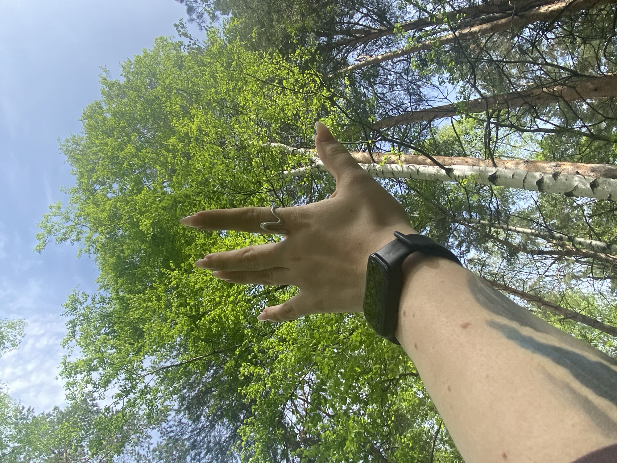 A low-angle shot taken outdoors in a forested area. In the foreground is a fair-skinned human arm outstretched toward the sky. A black smartwatch is on the wrist, and a silver ring adorns the index finger. A dark tattoo is visible on the underside of the forearm. The background consists of a dense canopy of green trees with bright green leaves, interspersed with the light-colored bark of birch trees. The sky is partially visible through the trees, appearing blue with some light cloud cover. The location appears to be Chaikovsky, Russia.