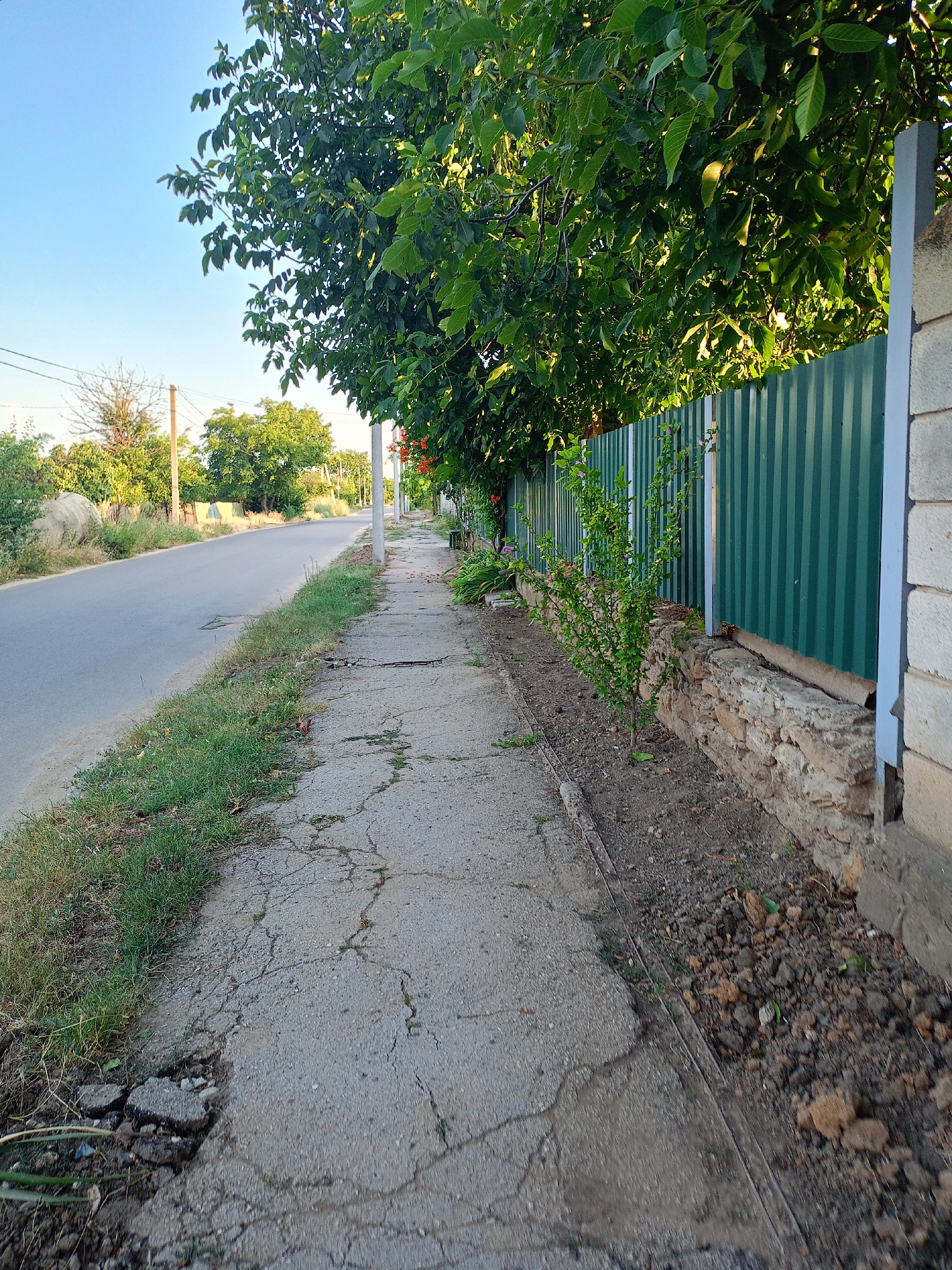 This is a ground-level, medium shot of a cracked concrete sidewalk on the right side of a paved road. The sidewalk runs along a green corrugated metal fence. A large tree with green leaves casts shadows over the fence and sidewalk. The road curves to the left and recedes into the distance, lined with grass and foliage. In the background, there are more trees, utility poles, and a clear blue sky. The scene appears to be in a rural or suburban area, possibly Baurci, Moldova, given the context of the request. There are no people or animals visible in the image. The overall impression is one of a quiet, sunny day in a residential area.