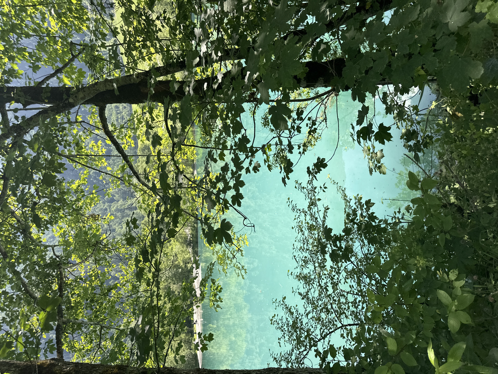 This image captures a view of the turquoise waters of the Klammsee lake in Kaprun, Austria, as seen from a wooded area. The foreground is dominated by dense green foliage and tree trunks, with sunlight dappling through the leaves. Beyond the trees, the lake stretches out, its vibrant color reflecting the surrounding landscape and the sky. In the distance, on the far bank of the lake, a small group of people are visible, appearing to be enjoying the lakeside. The background shows the gentle slopes of mountains covered in green vegetation. The overall atmosphere is serene and natural.