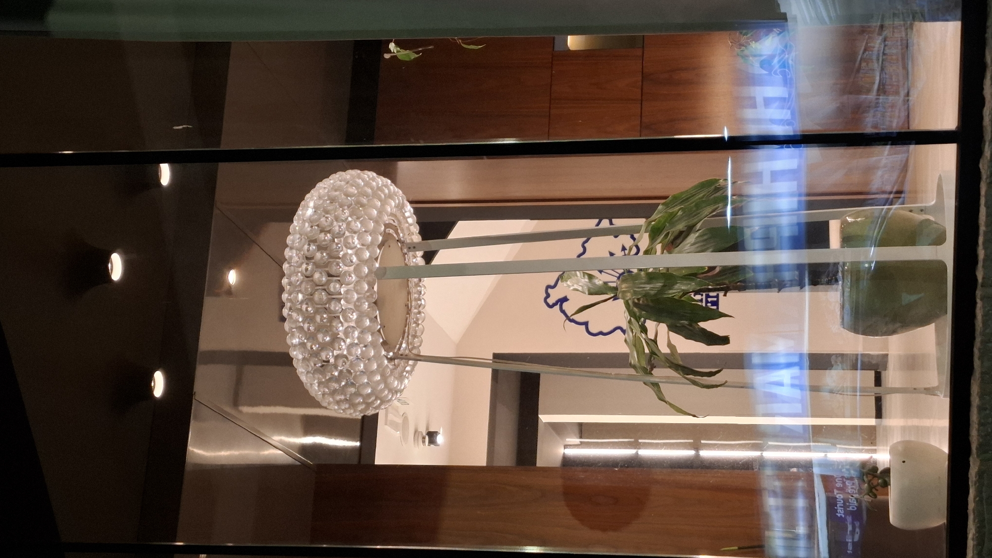 The image depicts an interior space, likely a commercial establishment such as a hotel lobby or a restaurant, viewed through a clear glass partition. The scene is characterized by modern and decorative elements, suggesting an upscale environment.
In the foreground and center, a large, circular light fixture resembles a chandelier, adorned with numerous small, transparent, spherical glass or crystal elements. To its right, a vibrant green potted plant with broad leaves stands on a simple, white support structure. Behind these objects, a light-colored wall features a stylized blue outline design, possibly abstract or floral, adding a decorative touch. Dark, polished wooden panels frame parts of the interior, contributing to a rich and sophisticated ambiance.
The glass barrier prominently displays reflections from the exterior. On the left, several small, bright, circular lights are mirrored against a dark background, suggesting external lighting. On the right side, distorted blue text is reflected, appearing reversed as "HOTE" or "HOTEL," along with other illegible characters, indicating signage from outside the building. These strong reflections of artificial light, combined with the illuminated interior, suggest the photograph was taken during the evening or night.
No people are visible, and no specific activity is taking place within the static scene. The overall impression is one of elegant interior design emphasizing light, reflective surfaces, and natural accents, located in Budva, Montenegro.