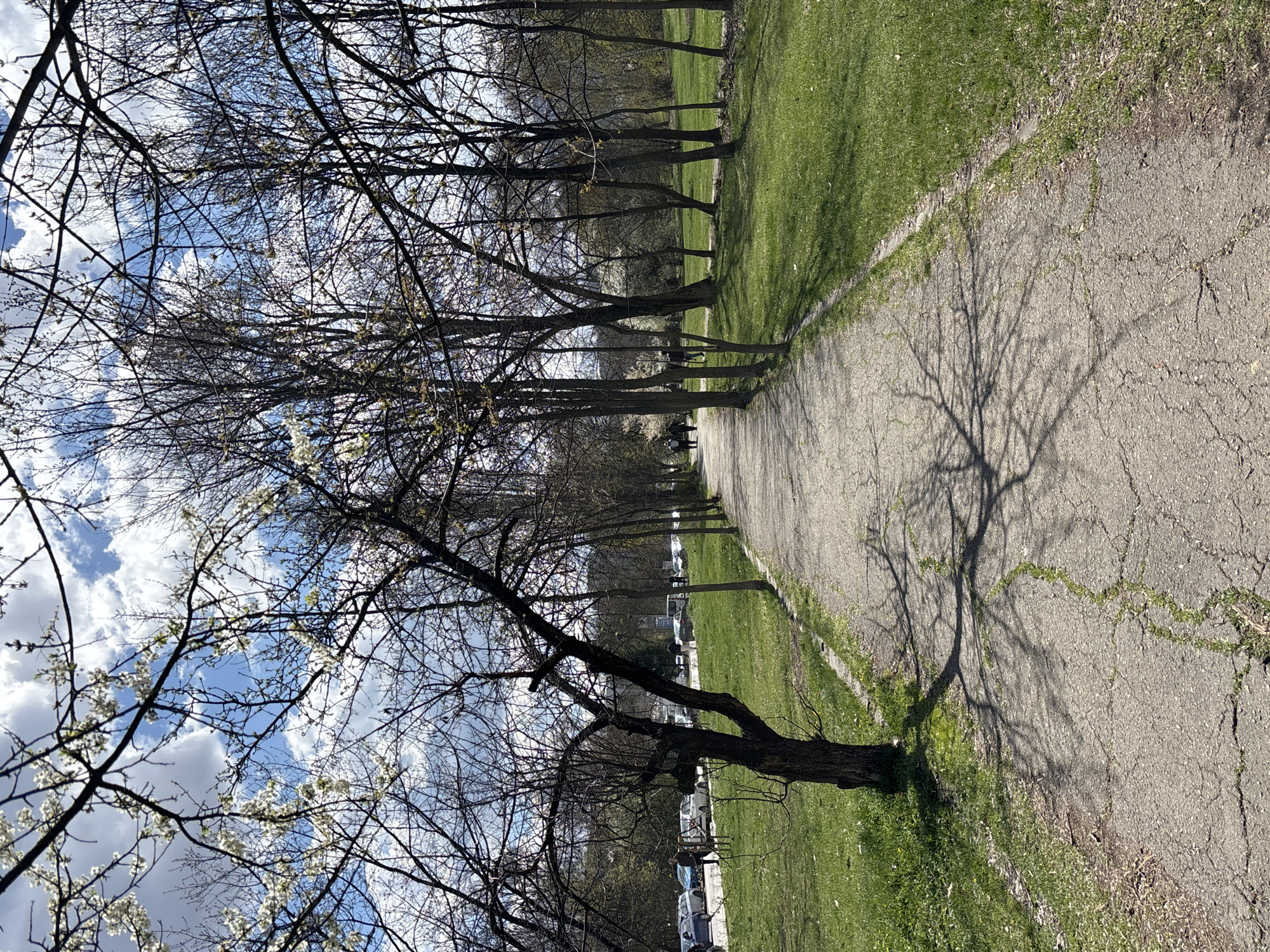 A landscape photograph shows a sidewalk path in a park or public space, flanked by trees. The location is likely Sofia, Bulgaria, given the architectural style of the distant buildings, the types of trees, and general park layout.
The path stretches into the distance, appearing well-worn with visible cracks and patches. The sunlight filters through the bare branches of the trees, casting shadows onto the path. The trees are aligned on both sides of the walkway, with some showing early signs of budding. The ground is covered in grass, transitioning from dormant brown patches to fresh green areas.
In the background, obscured by the trees, are parked cars and buildings. A group of two individuals is walking along the path, indicating a public area intended for pedestrians. The sky is visible through the branches, displaying a mix of blue sky and white clouds.