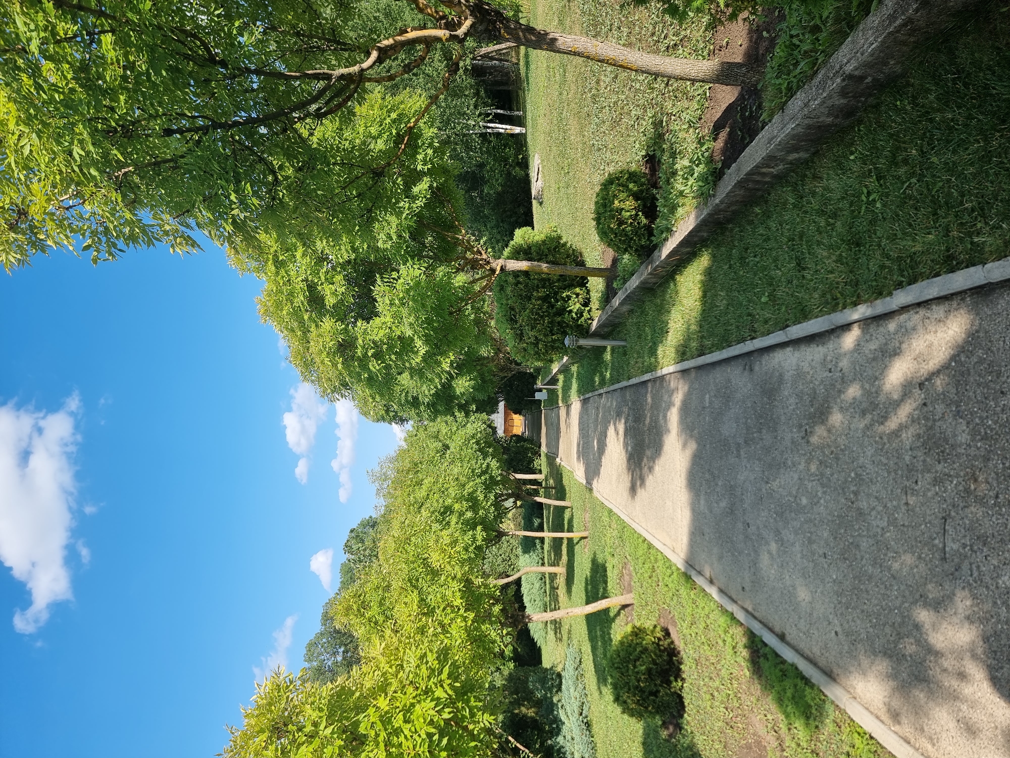 The image depicts a park pathway with lush green trees lining both sides. The pathway is paved with concrete and is flanked by well-maintained grass. Several small, round bushes are planted on the left side of the path. In the distance, at the end of the pathway, a small wooden structure is visible. The sky is a clear blue with a few white clouds, suggesting a pleasant day. The overall scene conveys a sense of tranquility and natural beauty. While the image is not explicitly geotagged, similar scenes of manicured park landscapes with pathways and trees are common in public spaces within cities like Hagimus, Moldova.