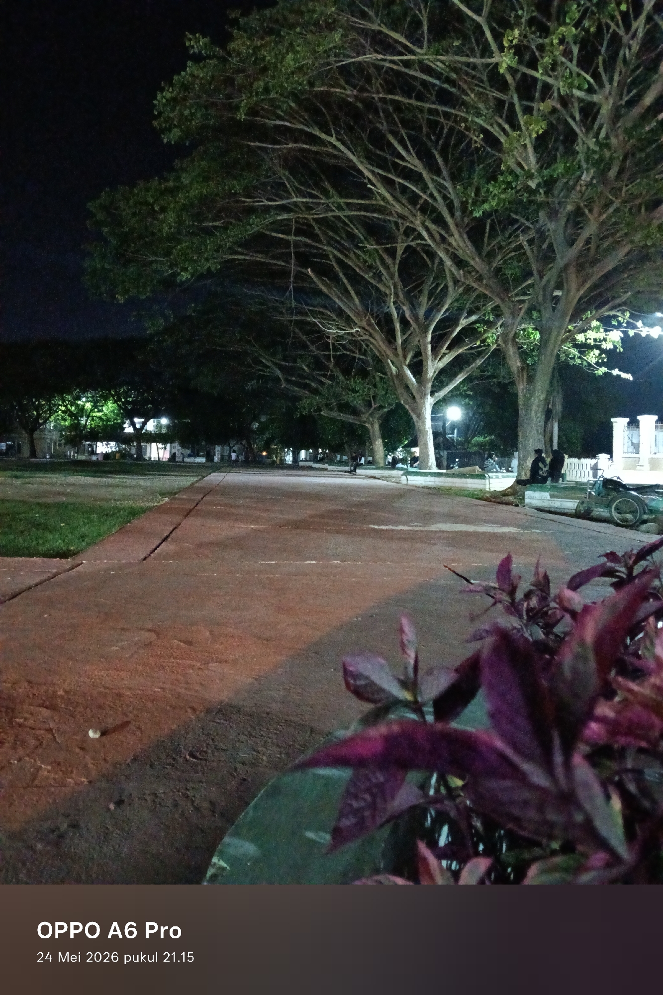The image shows a park at night in an urban setting. A wide, reddish-brown concrete path stretches into the distance, bordered by grass on the left and purple plants in the foreground. Mature trees with spreading branches are visible along the path. Figures are seated on benches illuminated by streetlights further down the path. A structure with columns is visible in the distance. The sky is dark.