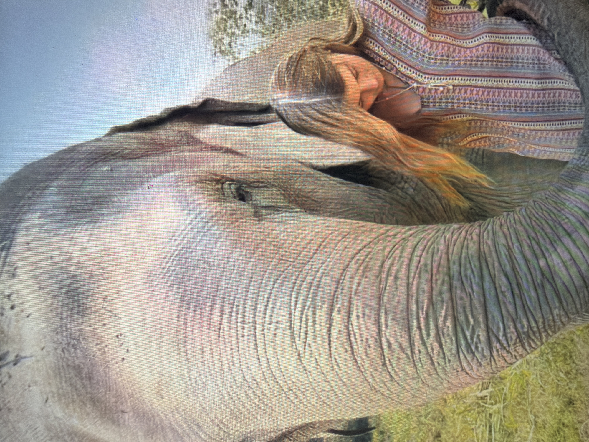 The image depicts a large elephant and a young female interacting in an outdoor environment, stated to be in Shumen, Bulgaria. The elephant, an adult with grey, heavily wrinkled skin and patches of dust, occupies the left and central portions of the frame, showcasing its head, eye, ear, and the upper part of its trunk. Its skin exhibits prominent, concentric folds and creases. To the right of the elephant, a young female with long, light brown hair parted down the middle is visible. She is looking downwards, with her head tilted, and appears to be in close proximity to the elephant, possibly leaning against its side or trunk. She wears a v-neck patterned shirt with vertical stripes and geometric designs in shades of blue, pink, and white, and a delicate necklace with a small pendant. The background features blurred green foliage and a light blue sky. The foreground shows green and dry grassy ground. A visible grid pattern across the entire image indicates it is a photograph of a digital screen.