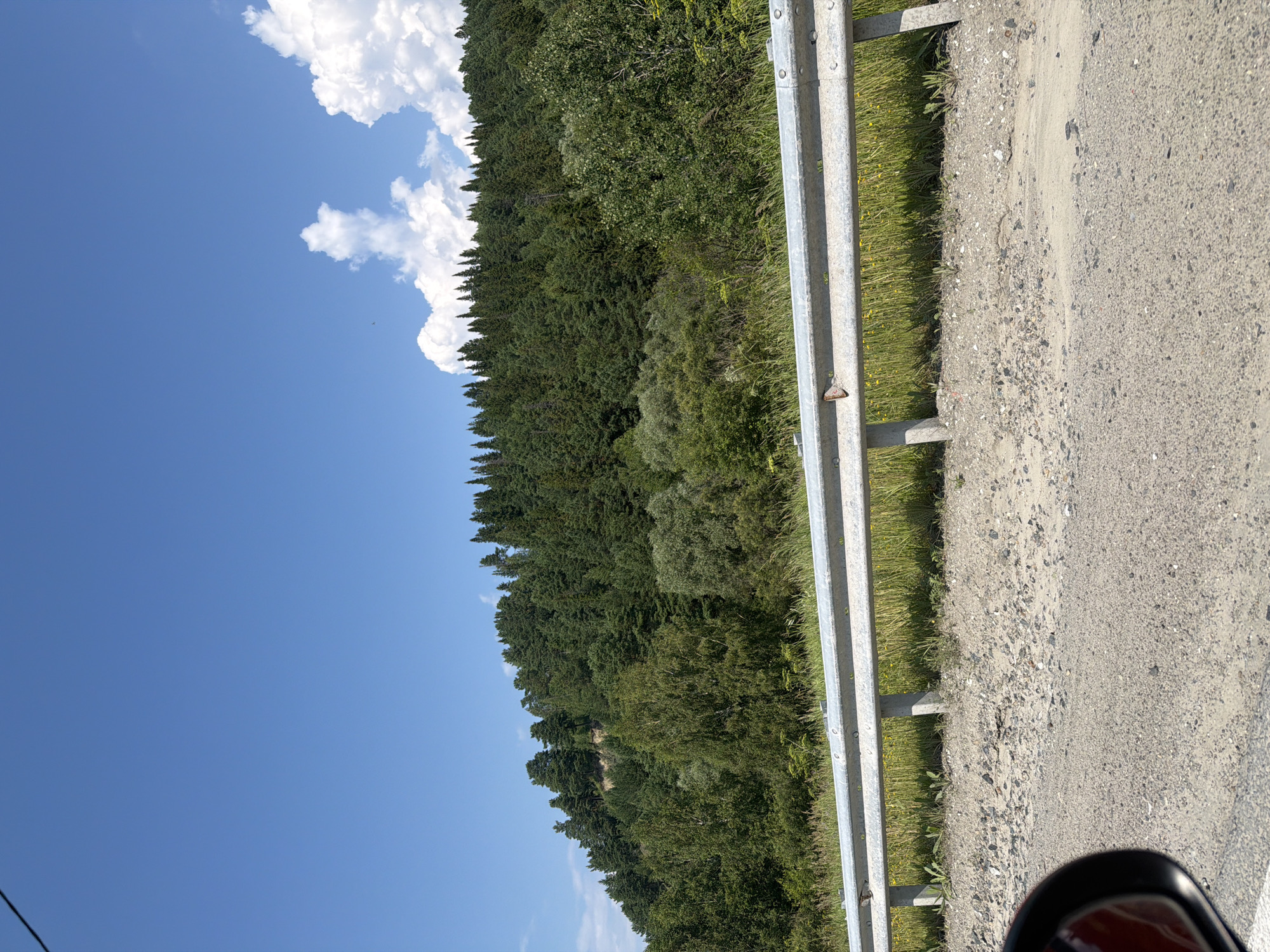 The image depicts a natural landscape viewed from a roadside. In the foreground, a gravelly shoulder of a road is visible, with a metal guardrail running horizontally across the frame. Beyond the guardrail, a grassy embankment slopes upwards, dotted with small yellow flowers. The background is dominated by a dense forest covering a hillside, with a clear blue sky overhead. A few white clouds are scattered across the sky. A portion of a red vehicle's side mirror is visible in the lower left corner of the image. The scene appears to be a rural or natural area, possibly on the outskirts of a city.