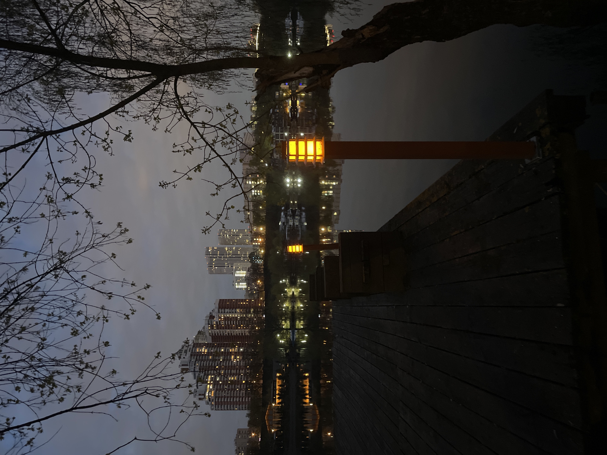 An atmospheric twilight or early night scene in an urban park or waterfront area in Moscow, Russia, depicts a serene cityscape reflected in still water.
In the foreground on the right, a dark wooden boardwalk or pier extends, featuring visible horizontal planks. A prominent feature is a distinctive orange, rectangular lantern on a dark pole, which casts a warm glow on the wooden structure and the adjacent water.
The central part of the image is occupied by calm, dark water, which perfectly mirrors the illuminated buildings and lights from the city across. The reflections are clear and create a striking symmetrical effect. On the left and extending across the top, delicate tree branches with small, emerging green leaves are silhouetted against the dusky sky, suggesting early spring. A thicker, dark branch or tree trunk extends from the upper right, partially over the water.
Across the body of water, a modern city skyline is visible, featuring numerous high-rise residential or commercial buildings with many illuminated windows. The sky above the cityscape and branches is a soft, overcast blue-grey, contributing to the tranquil evening ambiance.
The scene is devoid of people or specific activities, focusing on the interplay of urban architecture, natural elements, and artificial light. No visible text is present.