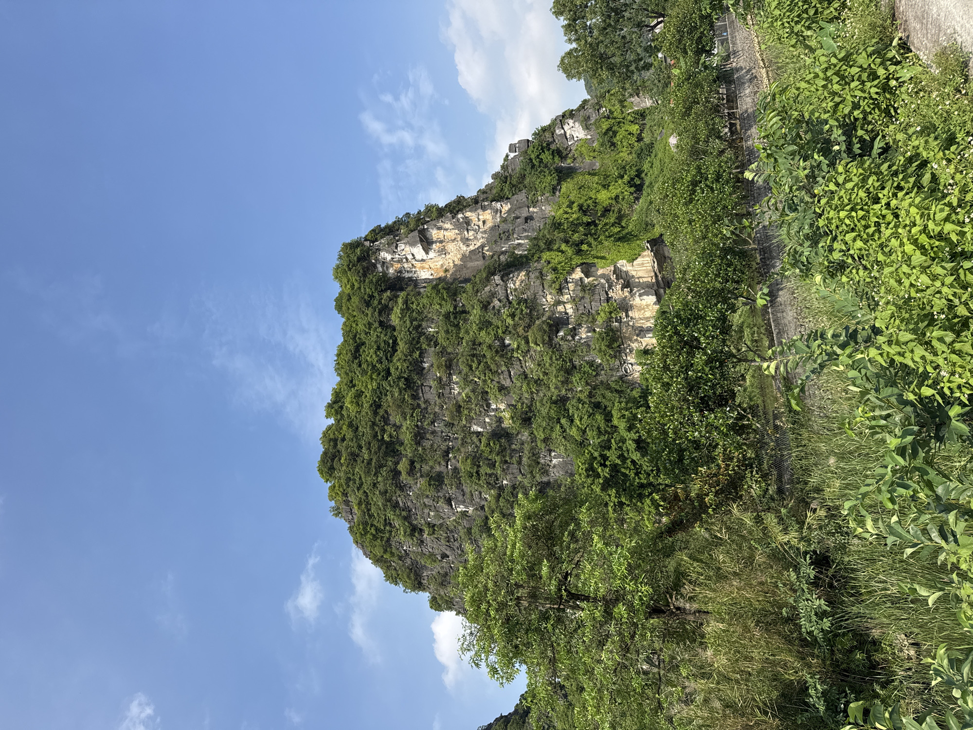 A lush green mountain stands tall against a bright blue sky with scattered white clouds. The mountain's rocky face is covered in dense vegetation, with patches of lighter rock exposed. In the foreground, a variety of green foliage, including trees, bushes, and tall grass, creates a vibrant natural scene. A low stone wall runs horizontally across the middle ground, separating the lush foreground from the base of the mountain. The scene appears to be in a rural or natural landscape, possibly part of the Trang An Landscape Complex in Nam Hoa Lư Ward, Vietnam, known for its karsts and natural beauty. There are no people or animals visible in the image.