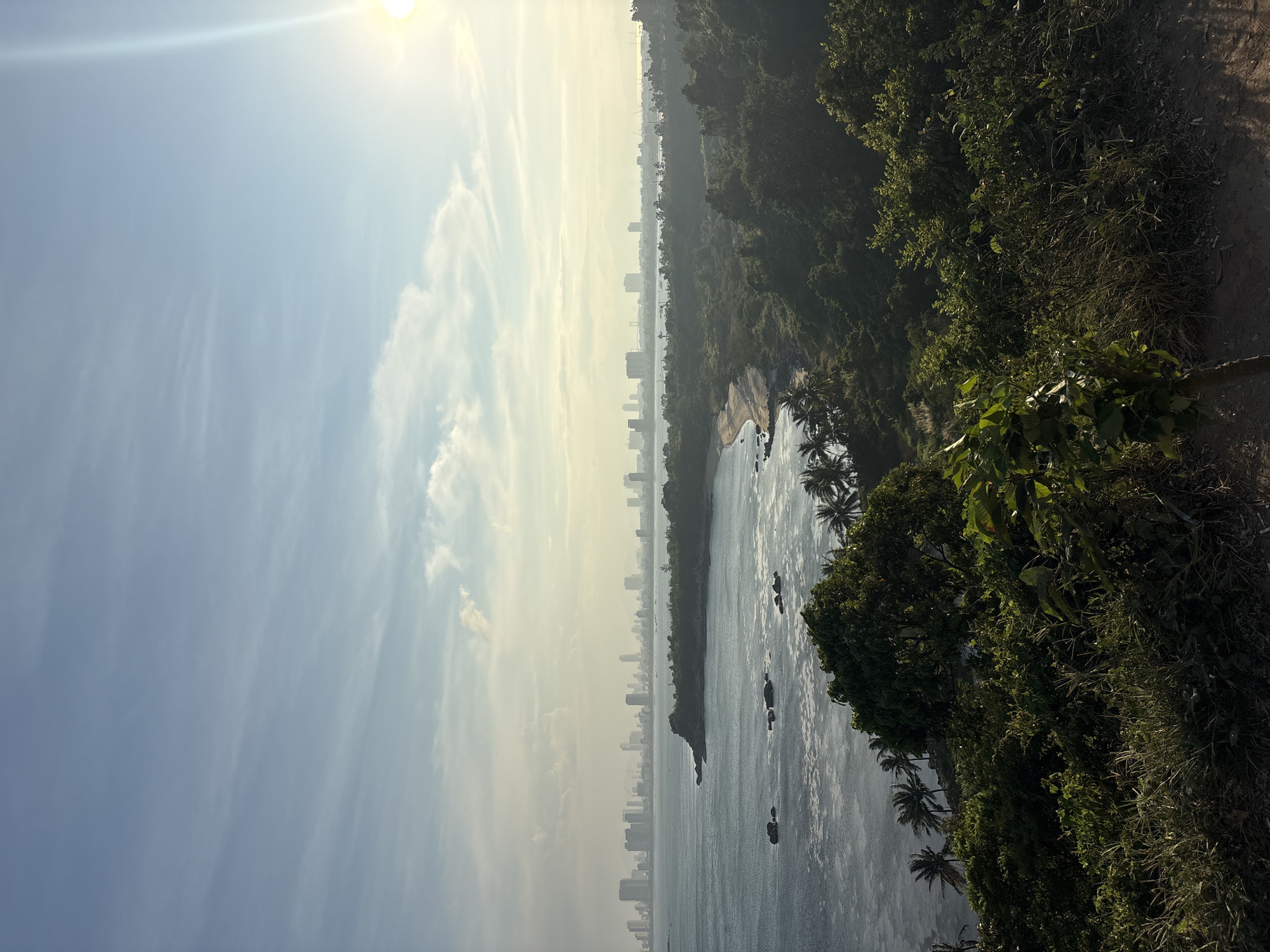 The image captures a high-angle view of a coastal scene in Đà Nẵng, Vietnam. The sun shines brightly in the upper left corner of the image. In the distance, a cityscape stretches along the coastline, partially obscured by haze or mist. Dense green vegetation and trees cover the immediate foreground on the right, sloping down towards a small beach and cove. Palm trees are visible along the shoreline. The water surface reflects sunlight.