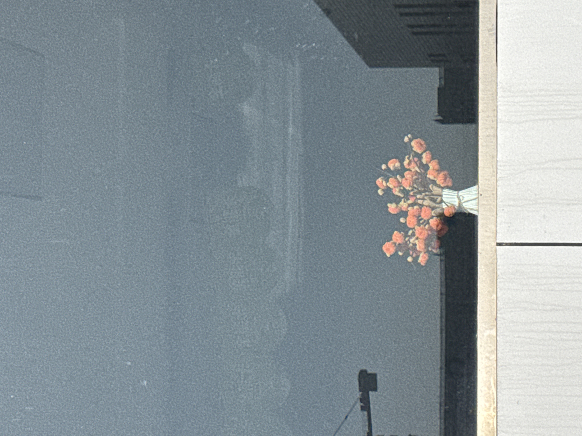 A photograph shows a bouquet of small, orange flowers in the lower right, their stems bound with white string. The bouquet is positioned near the edge of a gray wall and a white wall with horizontal lines. The left portion of the image is a gray, textured surface, likely a wall, with faint reflections of what appear to be building structures and a tripod holding a camera. The overall impression is that the flowers are either in or near a window. There is no indication of the location of the scene as Zhongtun, China.