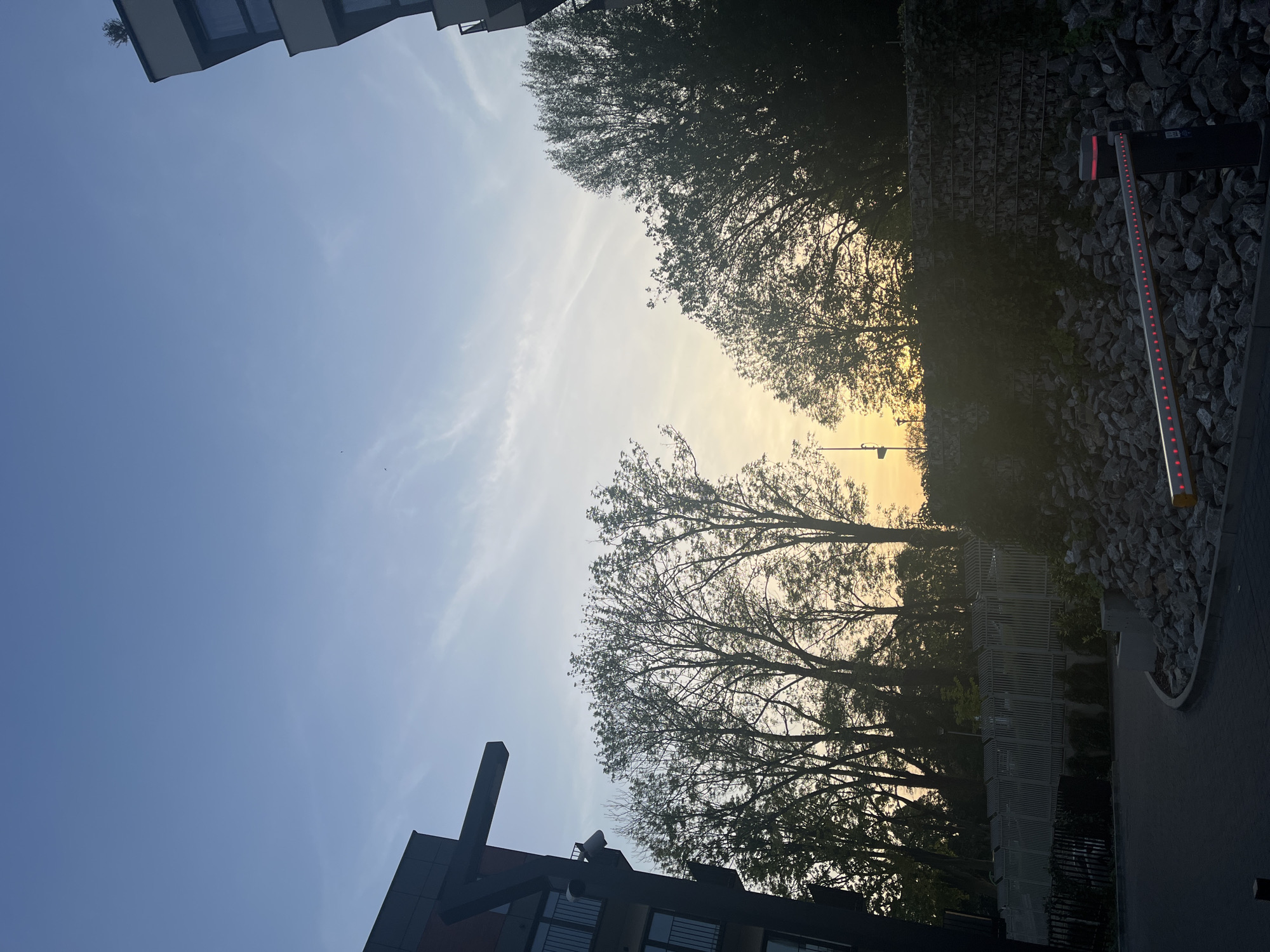 The image captures an outdoor scene, likely in an urban environment, during what appears to be sunset or sunrise. The sky transitions from a deep blue at the bottom to a yellowish-orange at the horizon, suggesting either dawn or dusk. Silhouetted tree branches spread across the middle portion of the image, obscuring the bright horizon. To the top left, part of a building is visible. In the lower right, a retaining wall made of stones is visible and next to it there is a barrier. The details are obscured by the backlighting, creating a contrast between light and shadow. The image does not show any people.