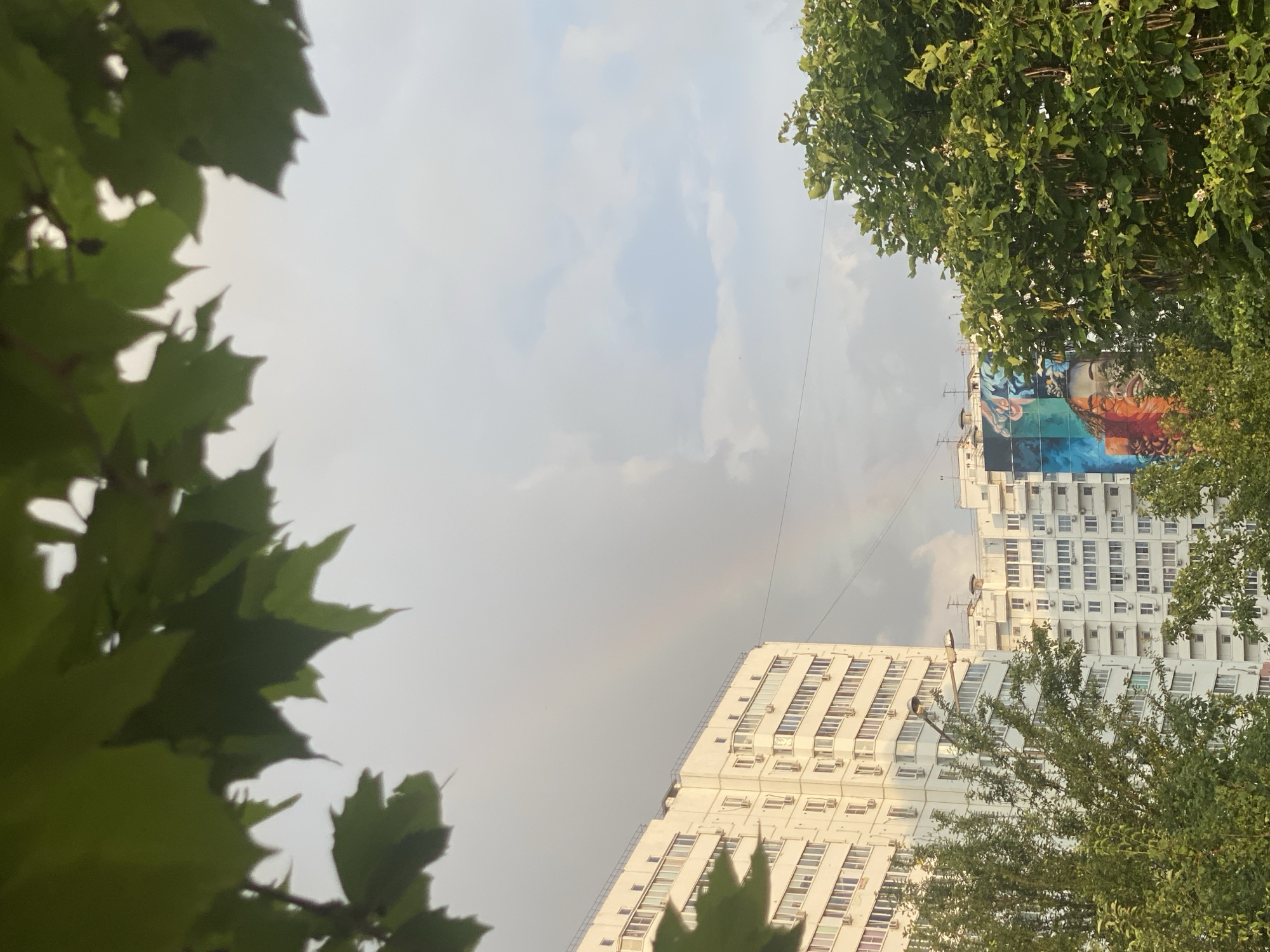 This is a low-angle, vertical shot of two tall apartment buildings partially obscured by the leaves of trees in the foreground. The buildings are white and have a grid-like pattern of windows and air conditioning units. The building on the left is closer and fills the bottom right of the frame. The building on the right is further away and is partially covered by lush green foliage. A large, colorful mural of a face is painted on the side of the right-hand building.
The sky is overcast with patches of lighter and darker clouds. A faint rainbow can be seen in the sky between the two buildings. The overall lighting suggests it is late afternoon or early evening, possibly after a rain shower. The framing of the shot with the leaves creates a sense of looking up through trees at the urban landscape. There is no visible text. The mood is somewhat subdued due to the overcast sky, but the bright mural adds a touch of vibrancy.